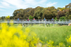 Rail Trails of South Australia Tour