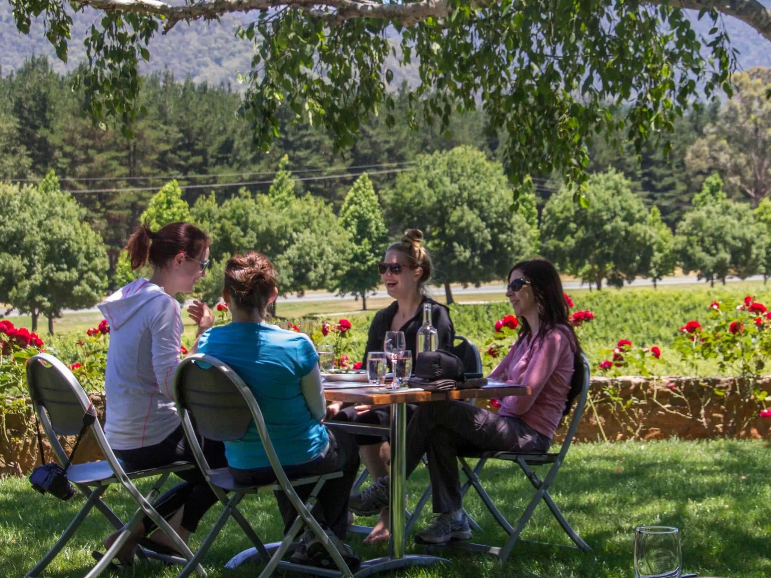 Group of ladies enjoying a lunch break with wine in Australia