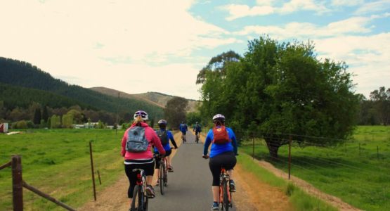 Self-Guided Murray to Mountains Rail Cycling Tour