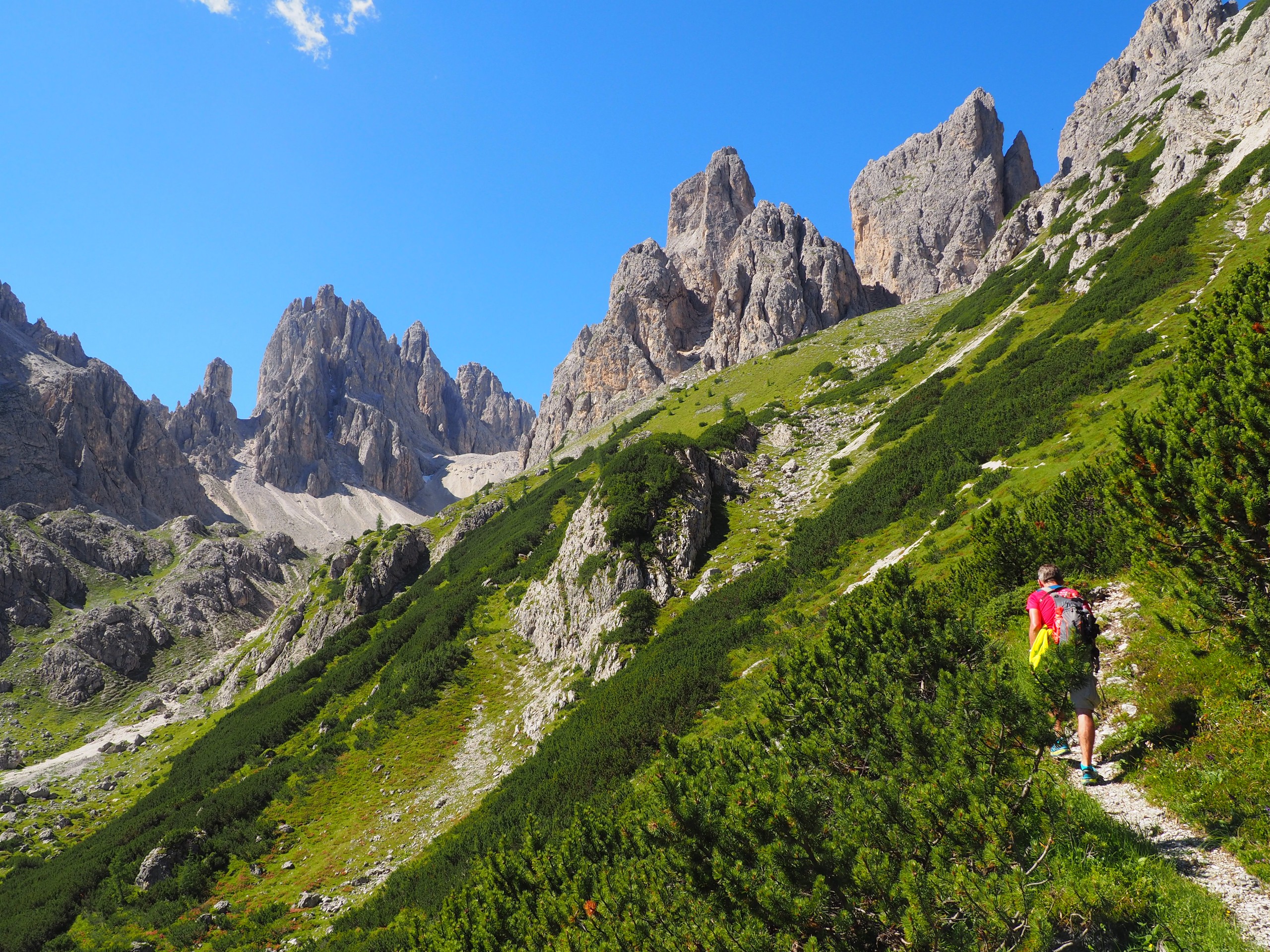 Hinking in the Campedelle valley (hiking trail n°119)