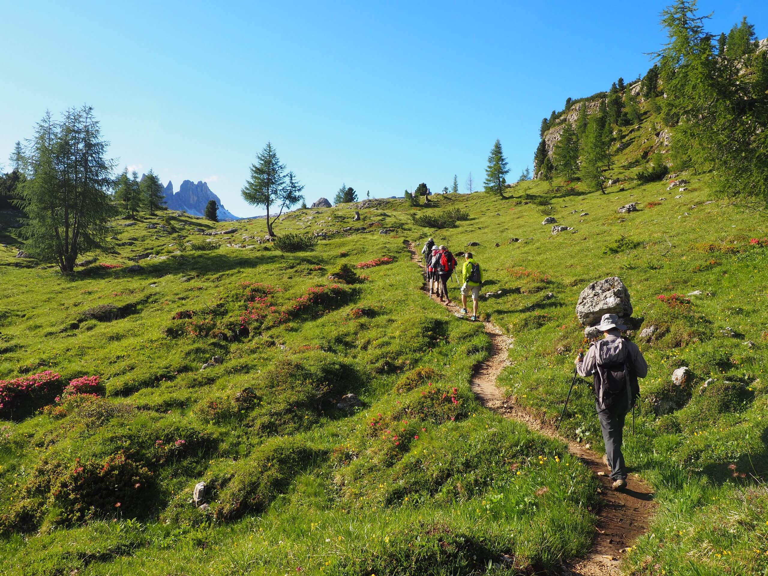 Hikers near the Cinque Torri, Dolomites