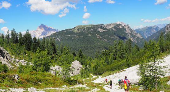 Hikers on the n°119 hiking trail