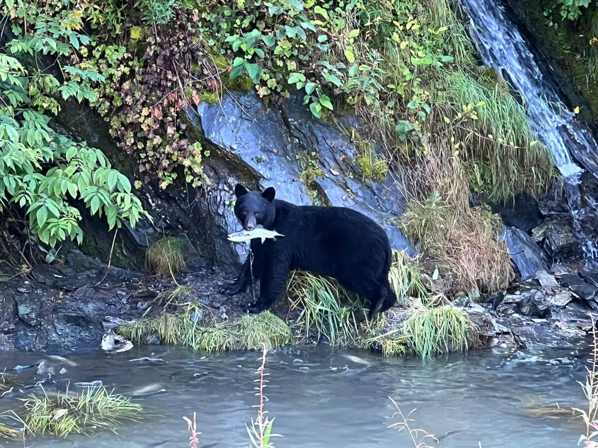 Alaska-Denali-21