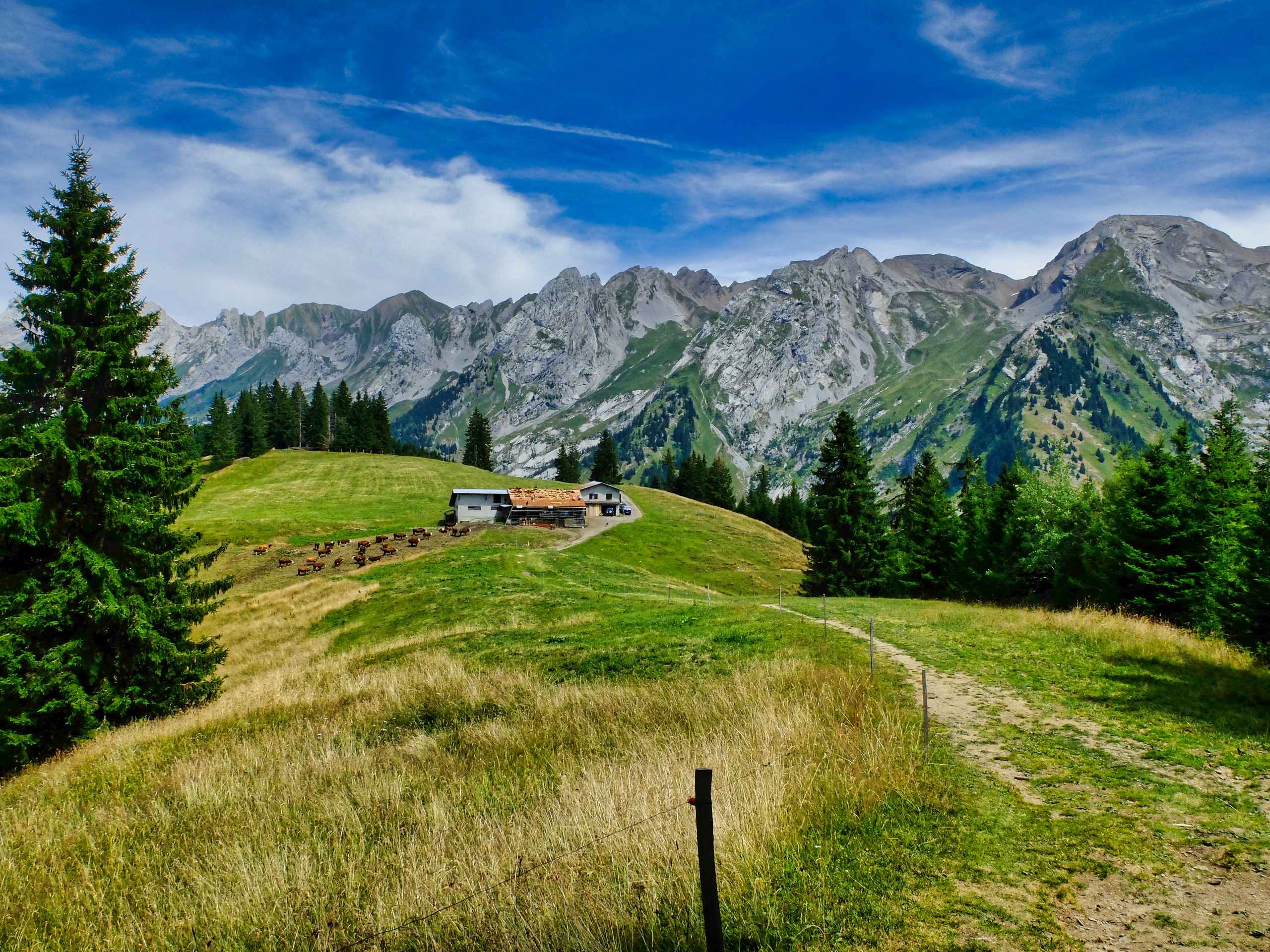 D2 - Mountain farm in the Aravis Pasture 2 - Alps © Thomas Praire