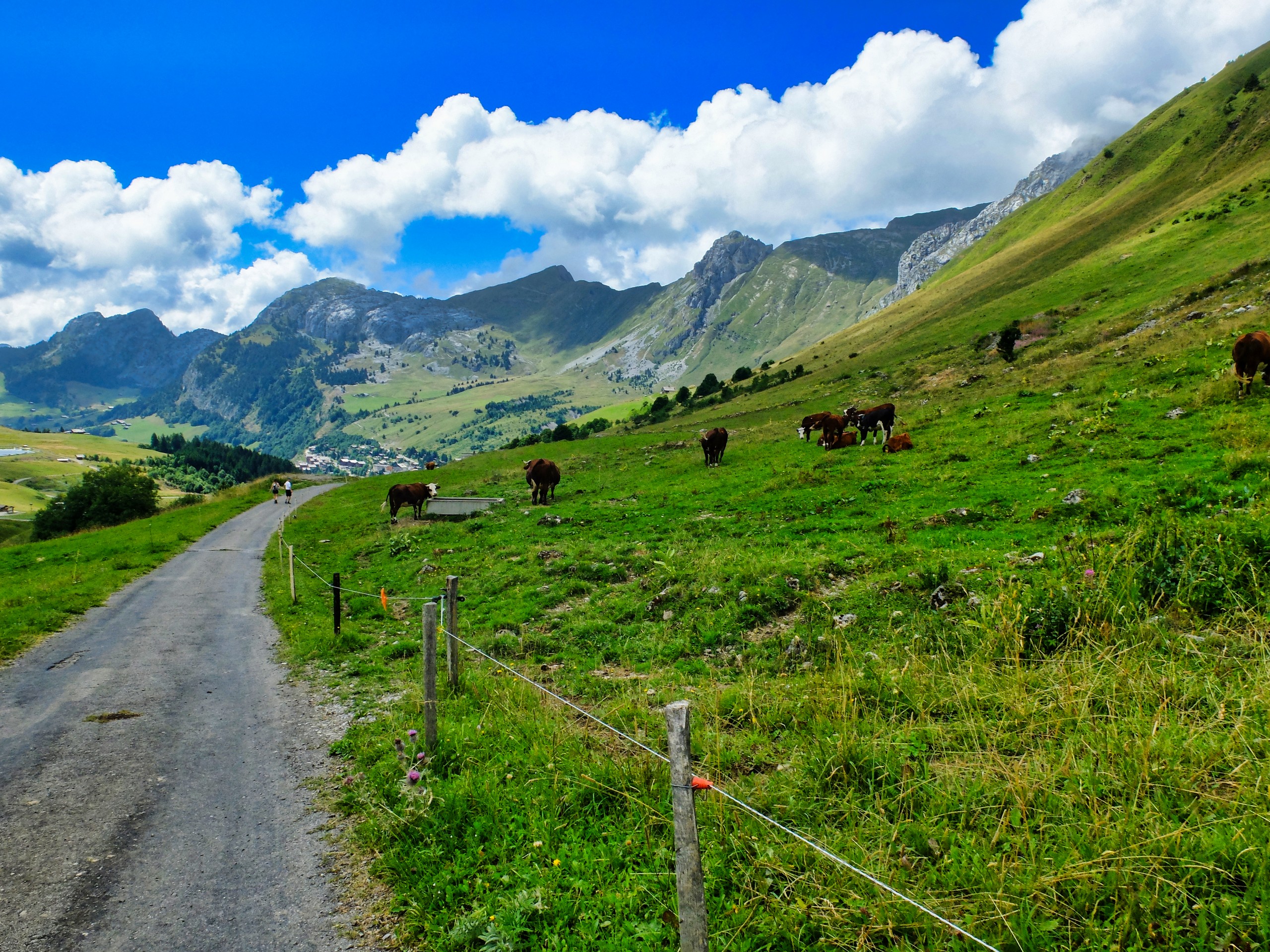 D3 - Going down from the Chinallon's pasture - Aravis - Alpes © Thomas Praire