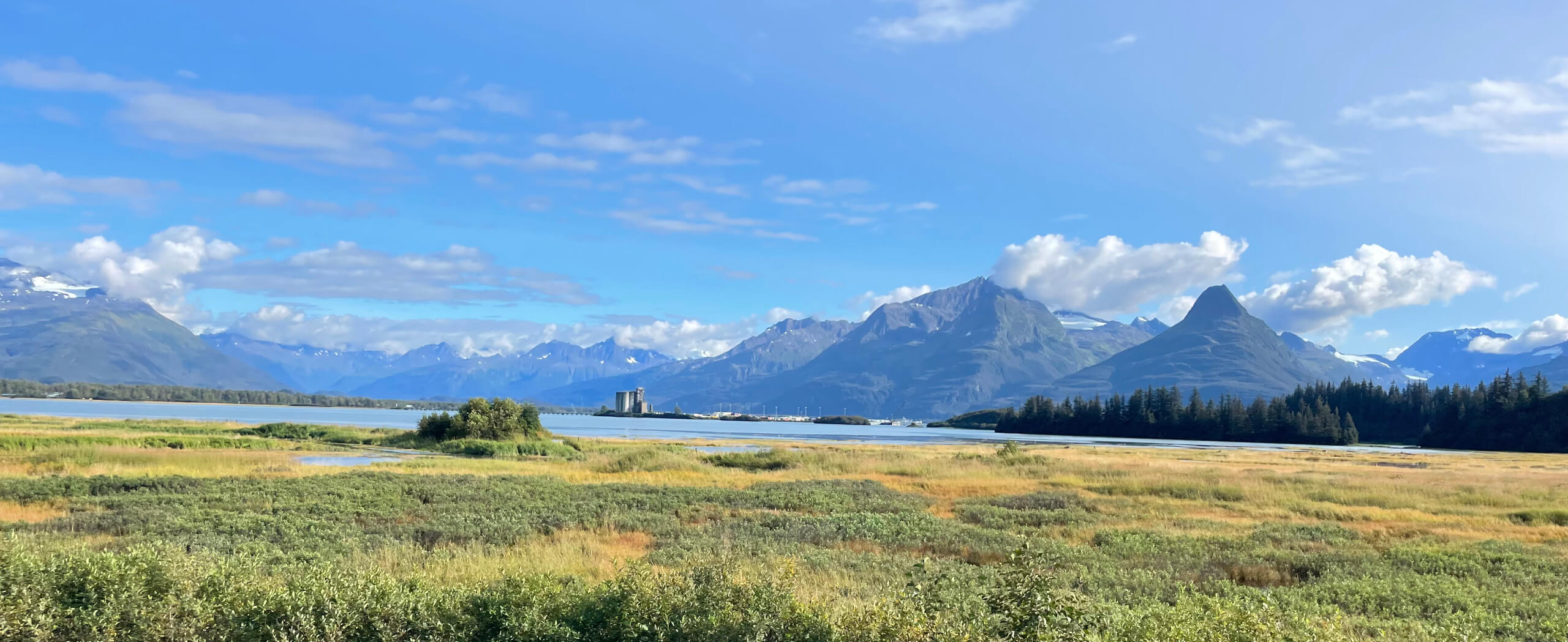 Alaska Denali Tour