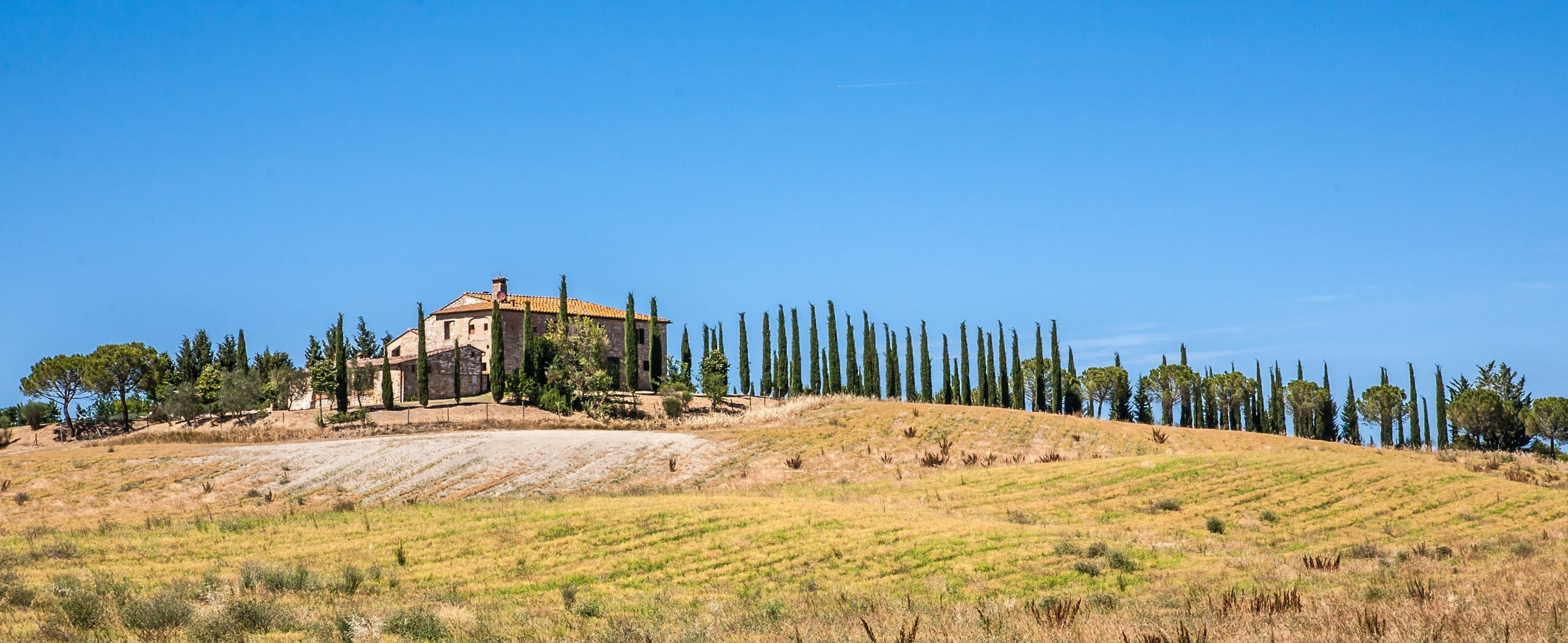 From Siena to Cortona Walking Tour