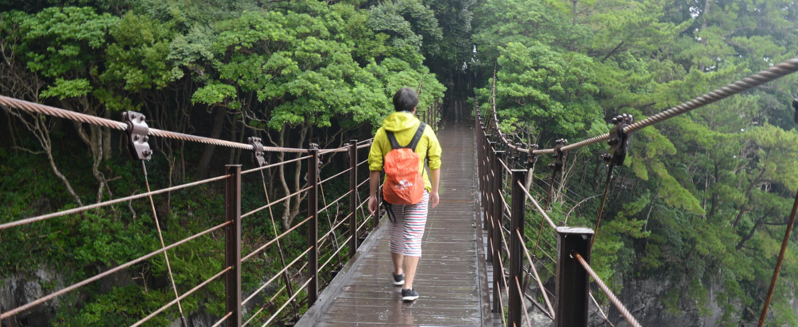 Hakone Hiking and Culture Tour