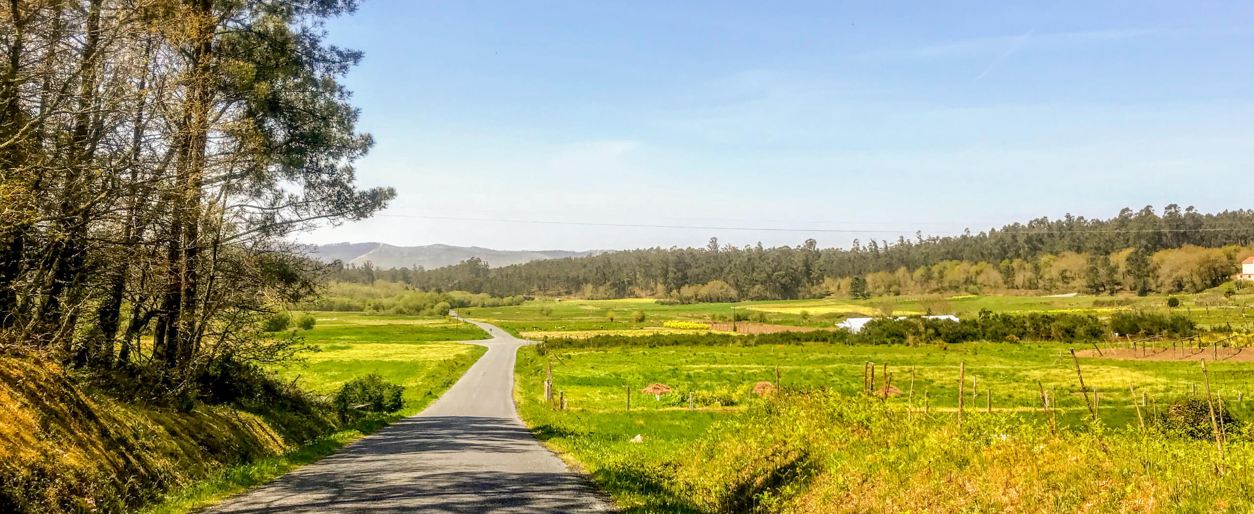 Portuguese Camino Plus Walk Tour