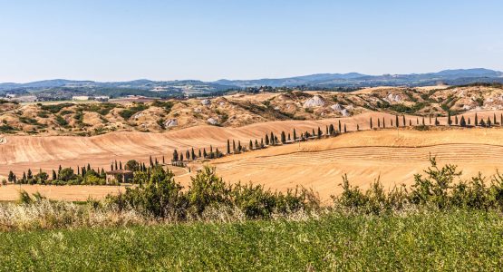 From Siena to Cortona Walking Tour