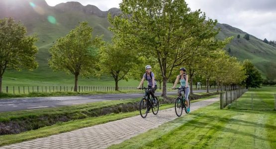 Hawke’s Bay Biking and Wine Tour