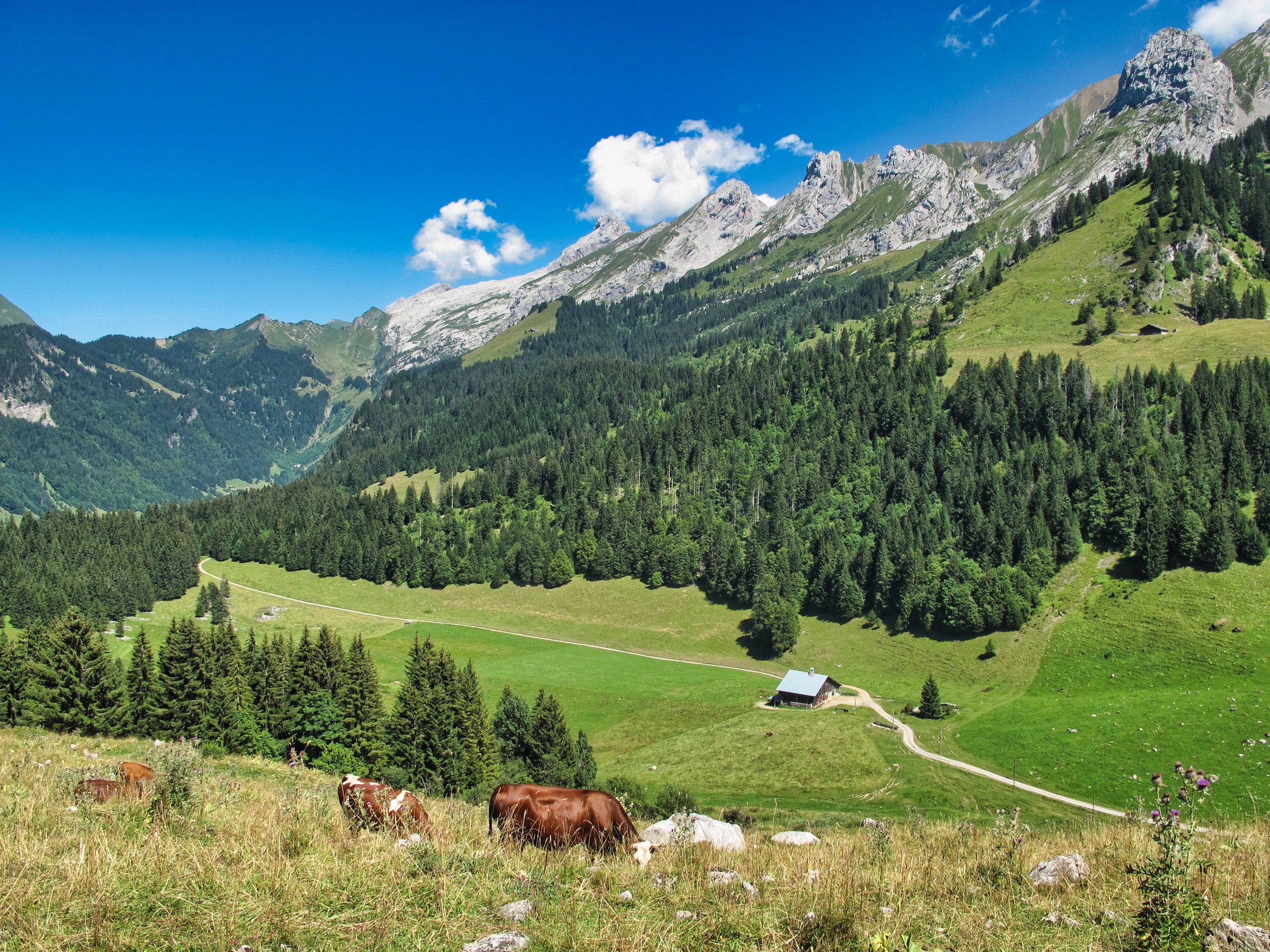 D3 - Confins and Aravis 2 - Alpes © Jean Claude Praire