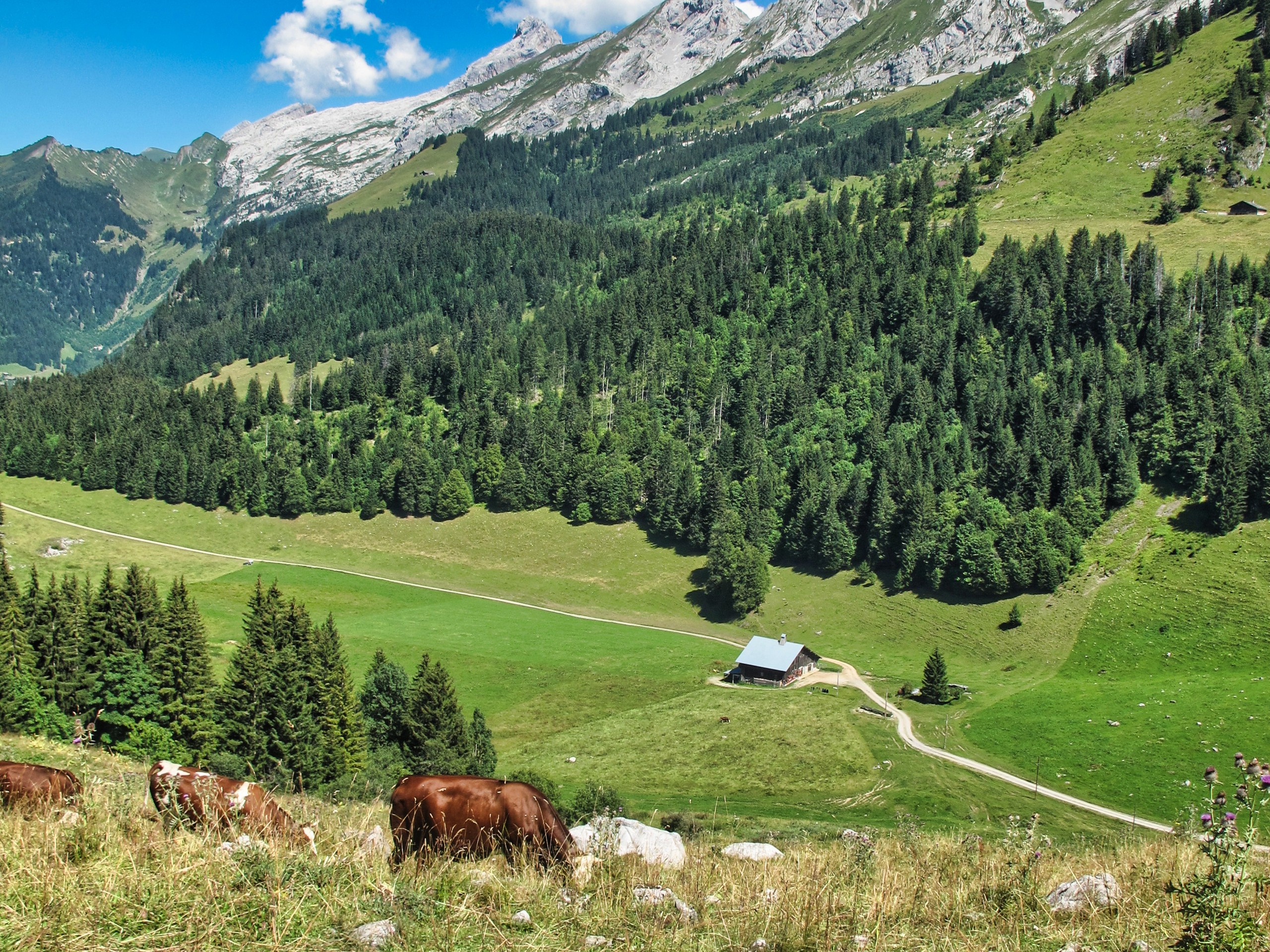 D3 - Les confins - Aravis - Alpes © Jean Claude Praire