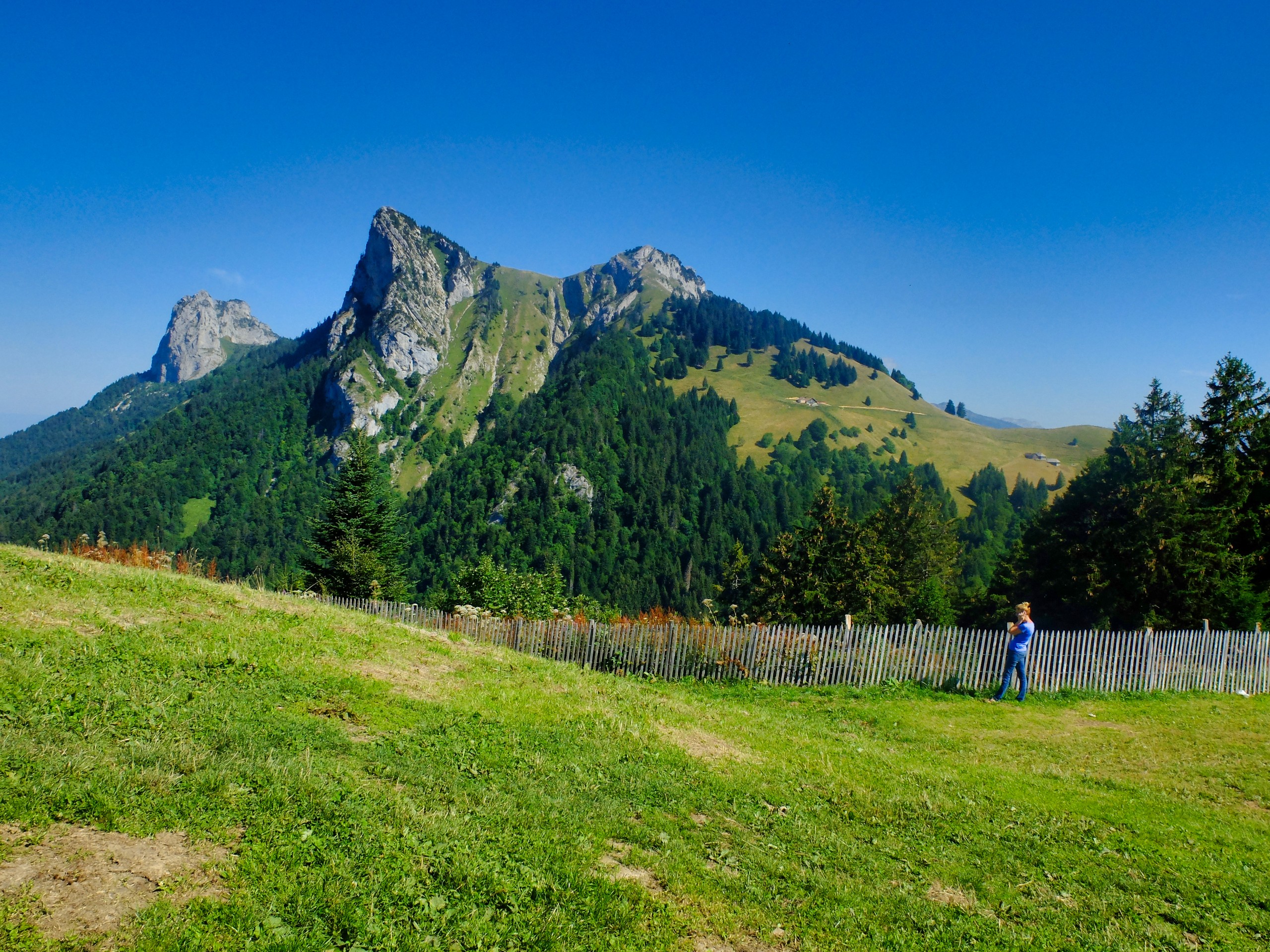 D5 - The Tournette - Alpes © Thomas Praire