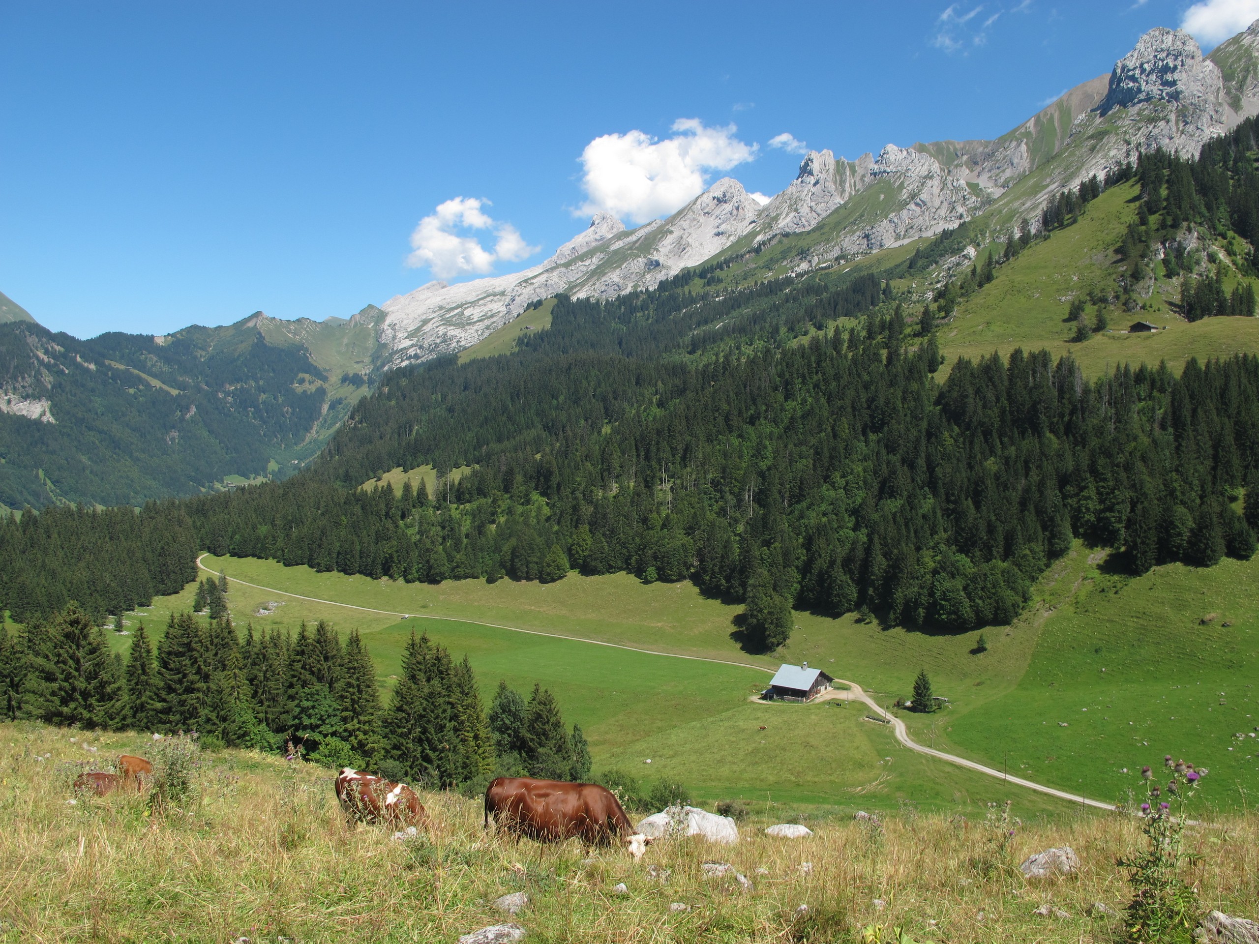 Les Confins in La Clusaz © Jean-Claude Praire