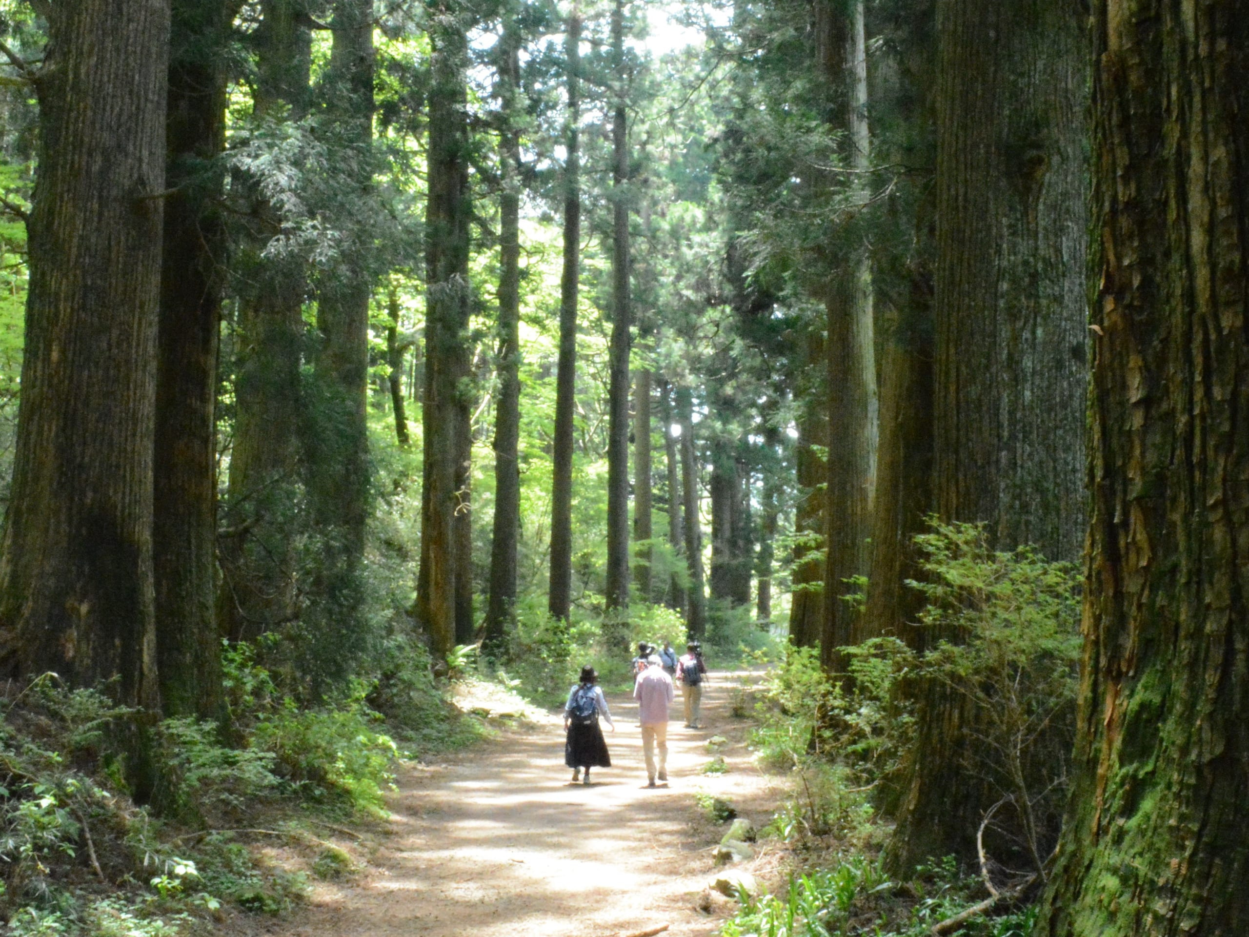 Hakone 3 Day Program-3