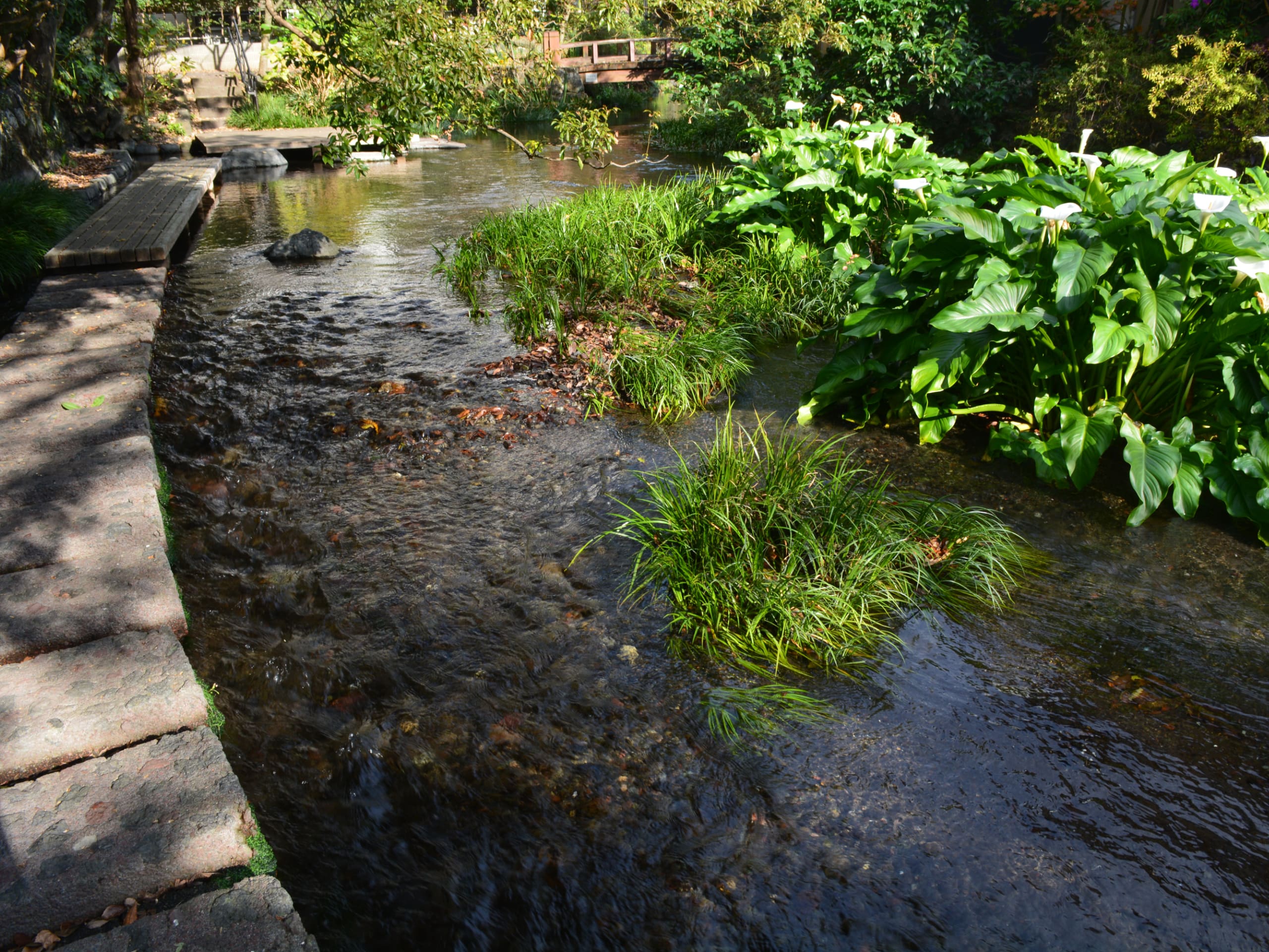 Hakone 3 Day Program-7