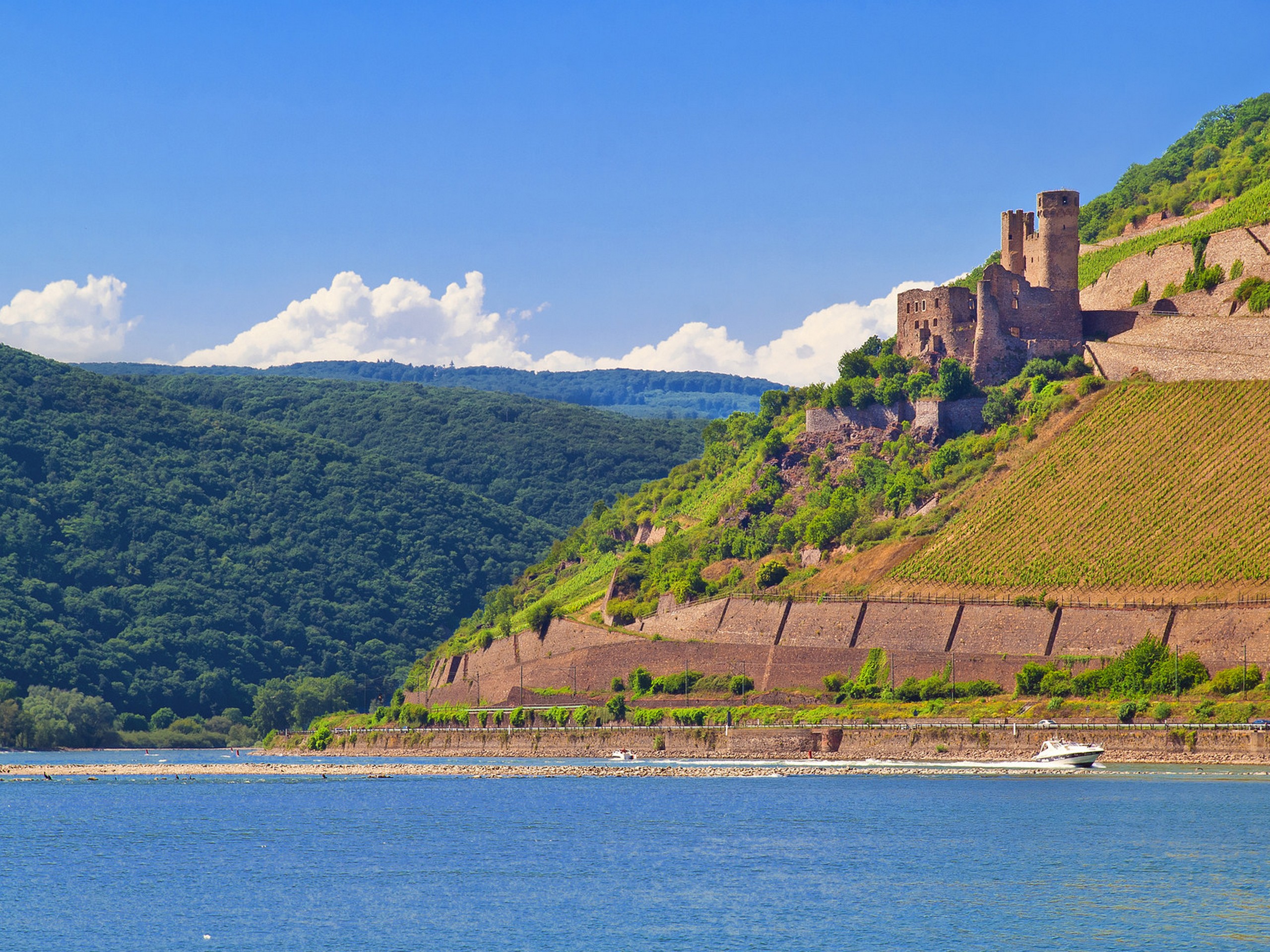 Rhine, Main, Moselle rivers selfguided-biketour Germany Frankfurt to Trier-16