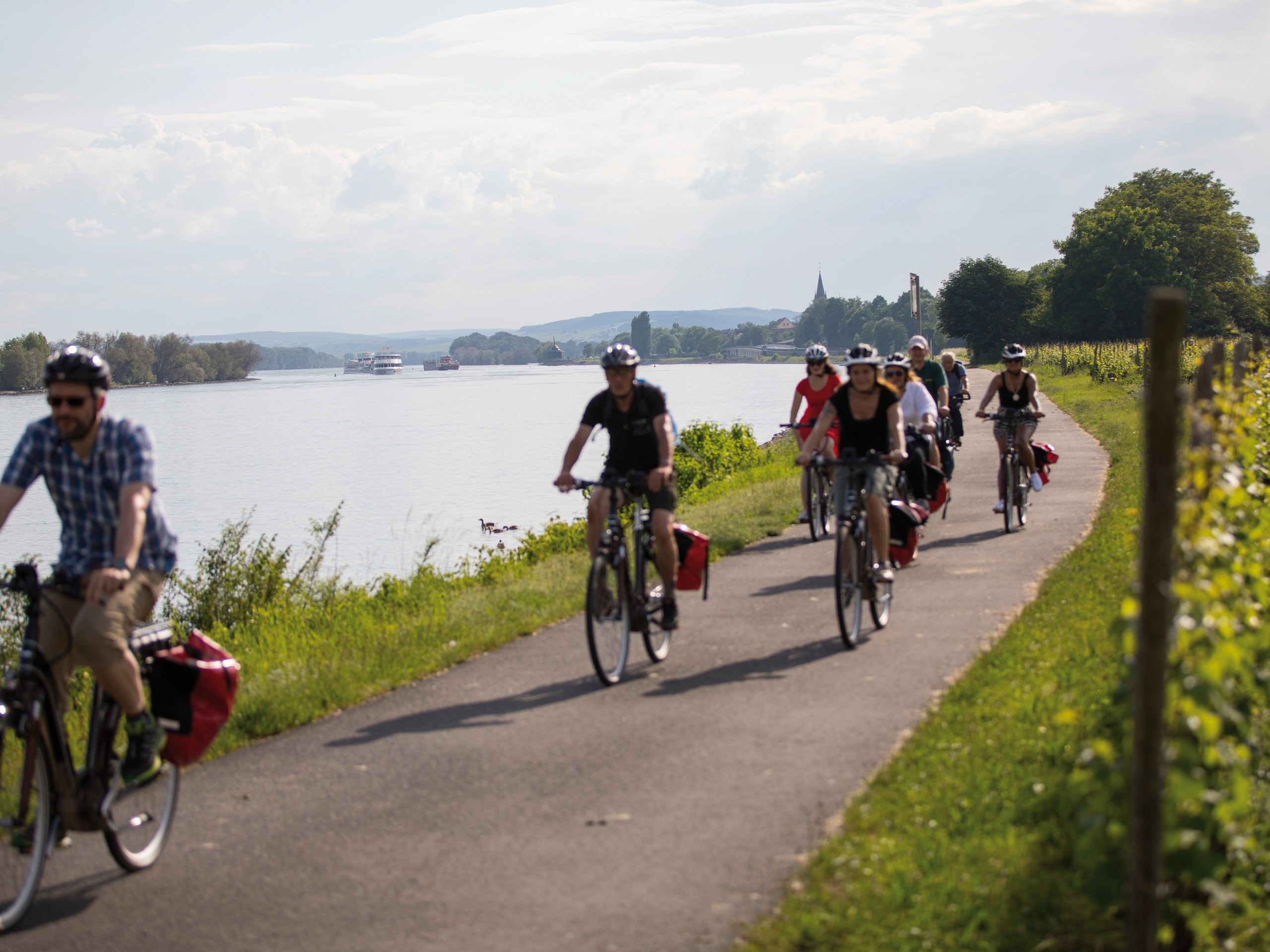 Rhine river selfguided-biketour Germany Frankfurt to Cologne-8