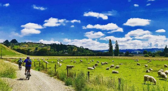 Cycling the countryside roads of the New Zealand
