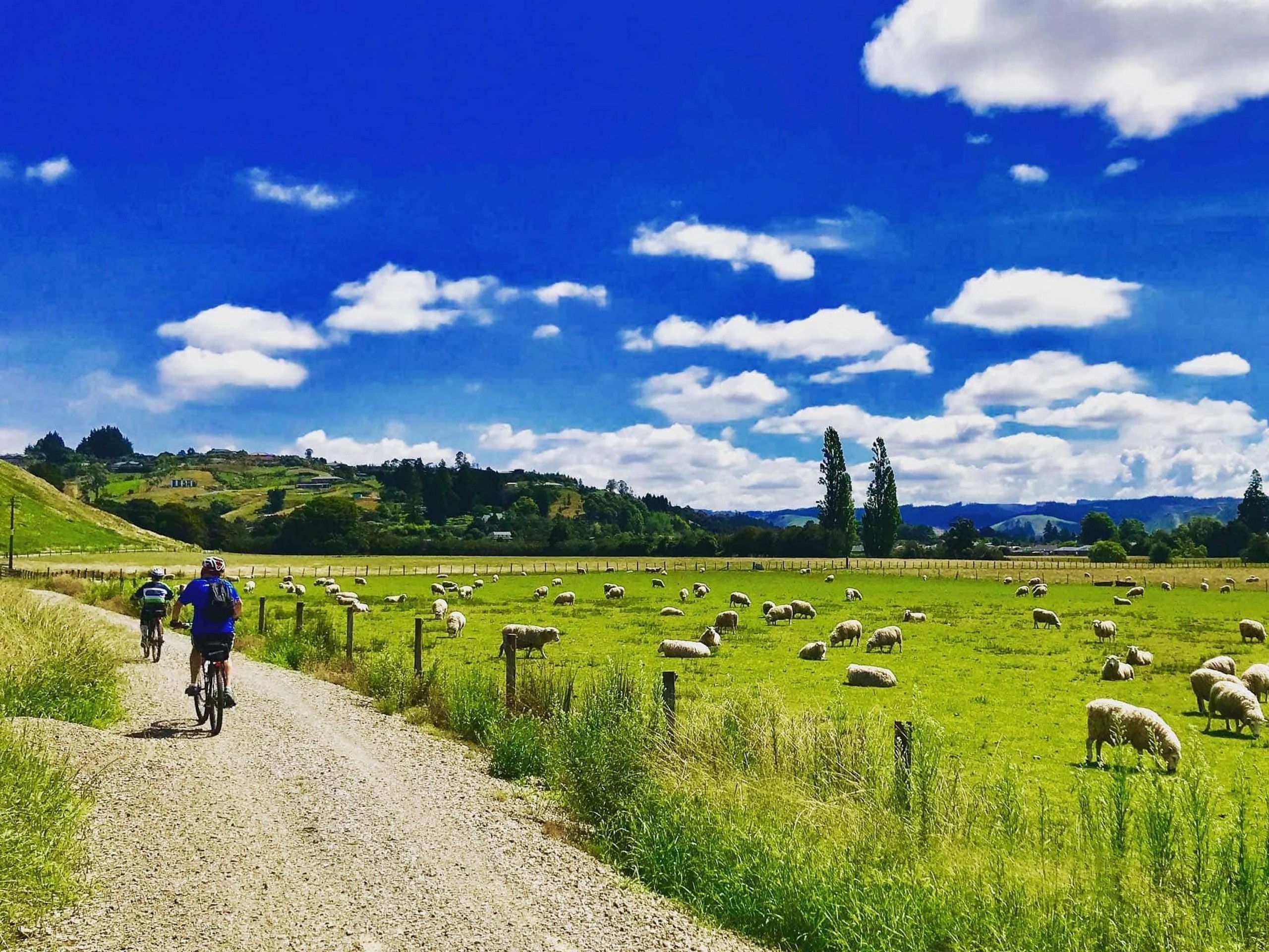 Cycling the countryside roads of the New Zealand