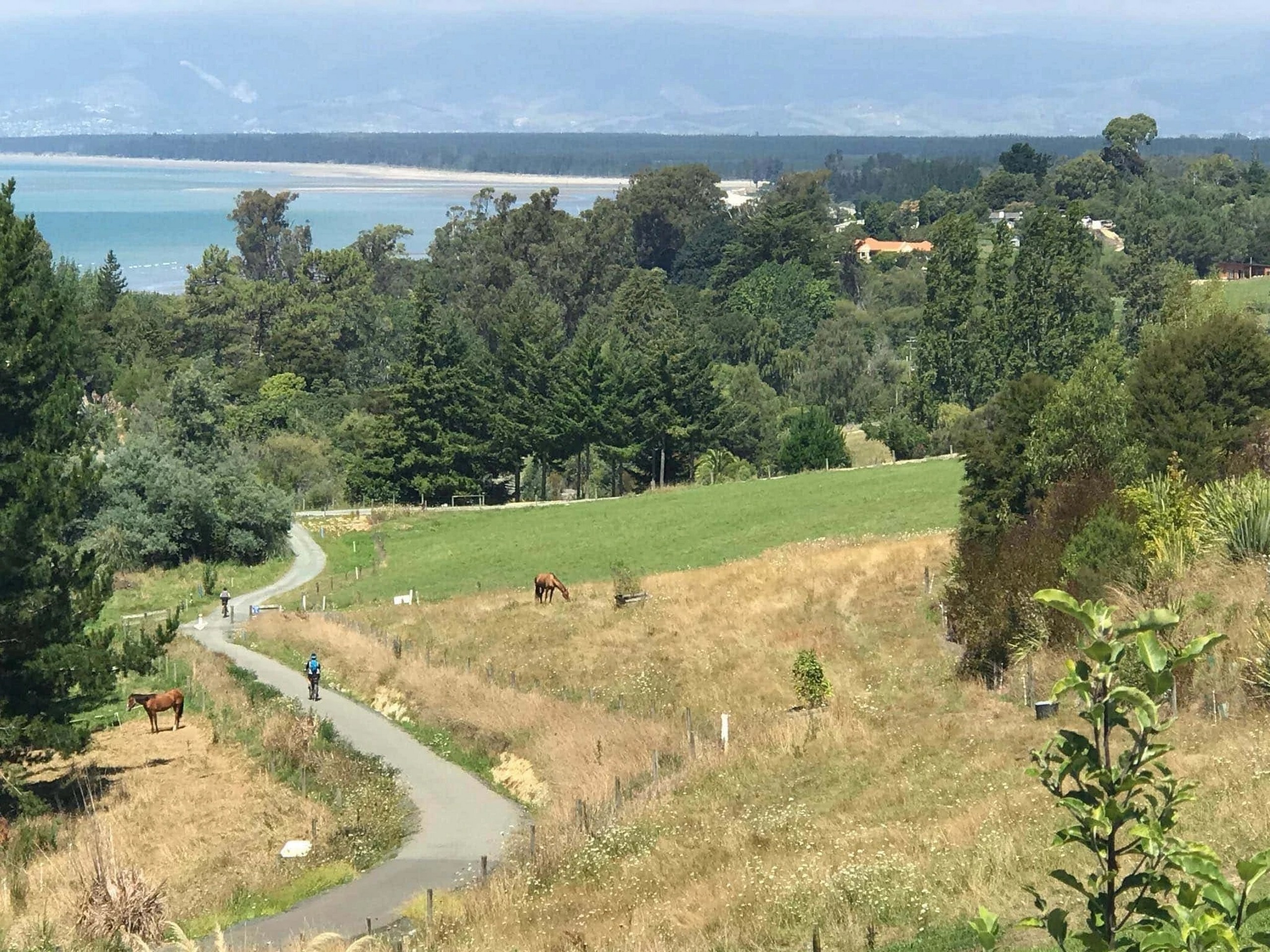 Cycling the countryside roads of the New Zealand