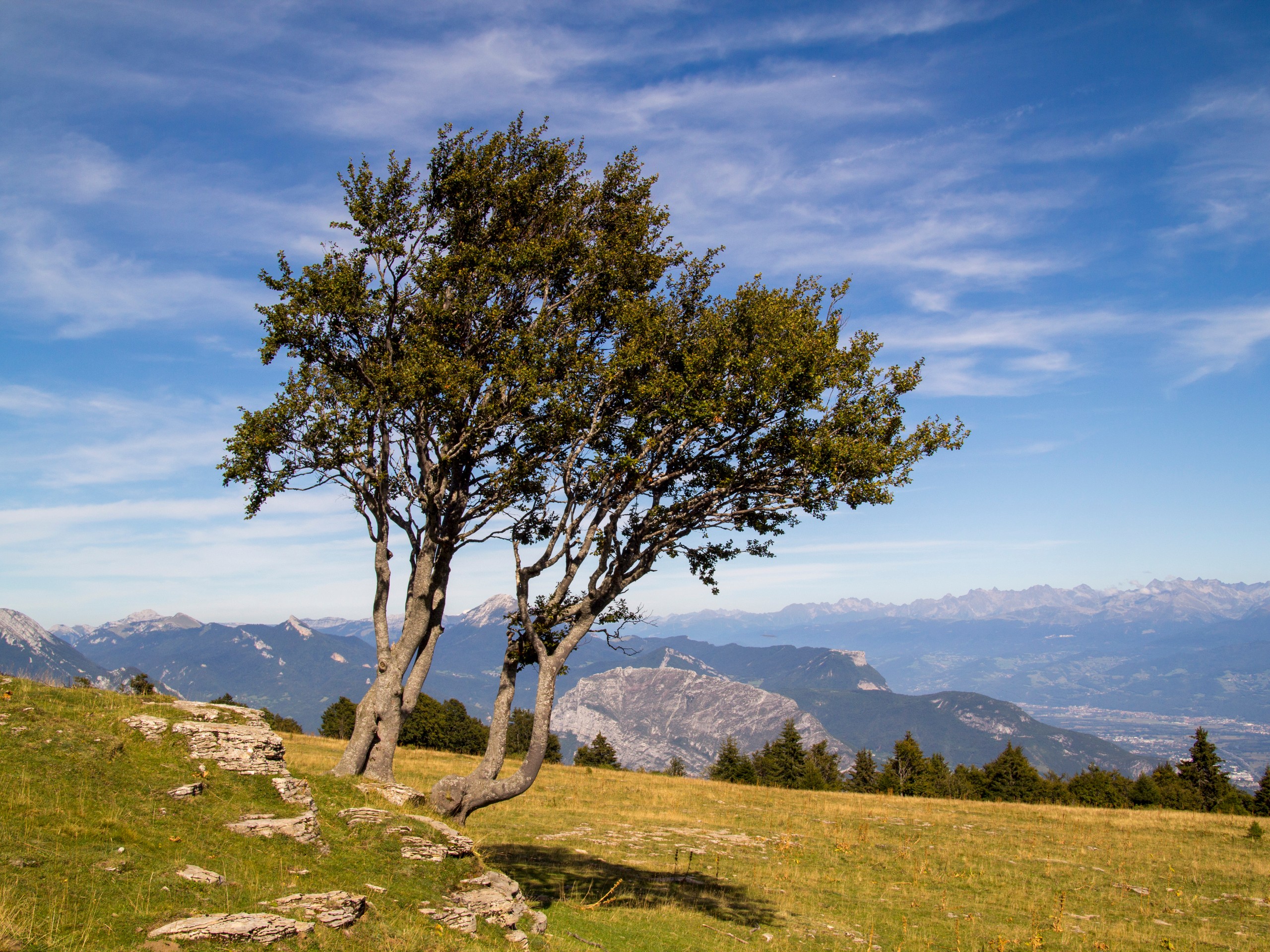 Le plateau de la Molière et la vallée de Grenoble © Jean-Louis Billault