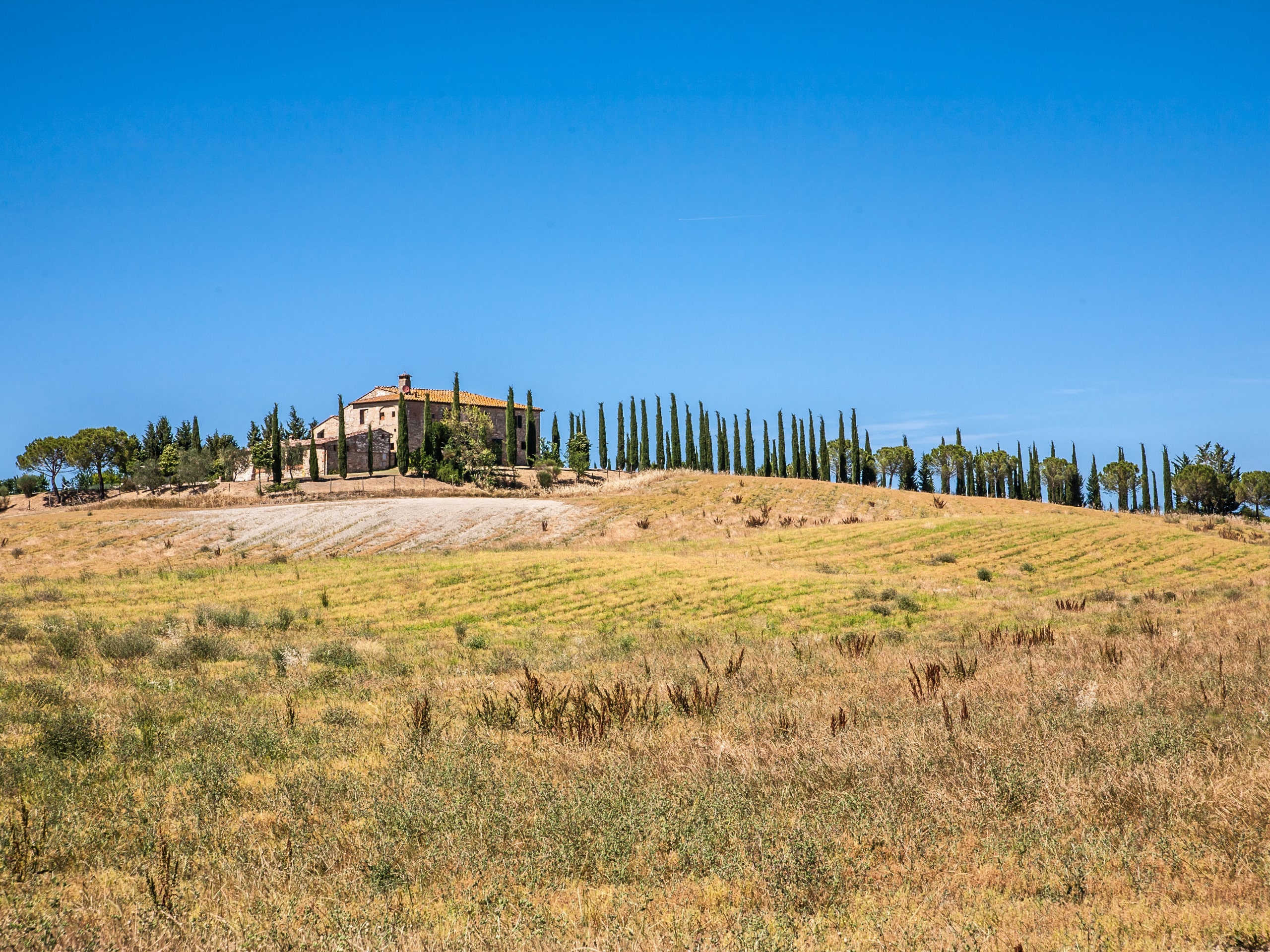 Under the Tuscan Sun - From Siena to Cortona-3