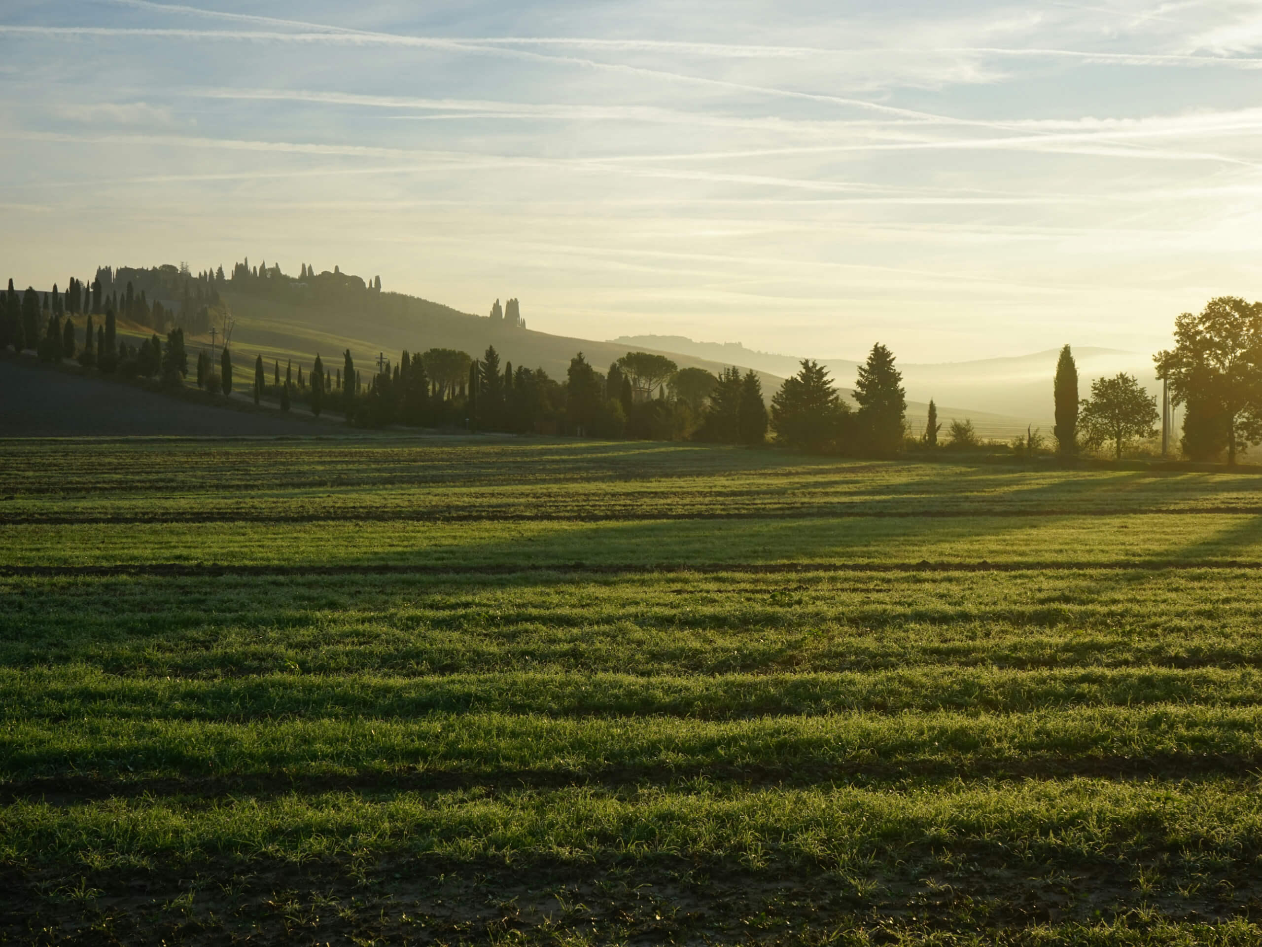 Under the Tuscan Sun - From Siena to Cortona-7