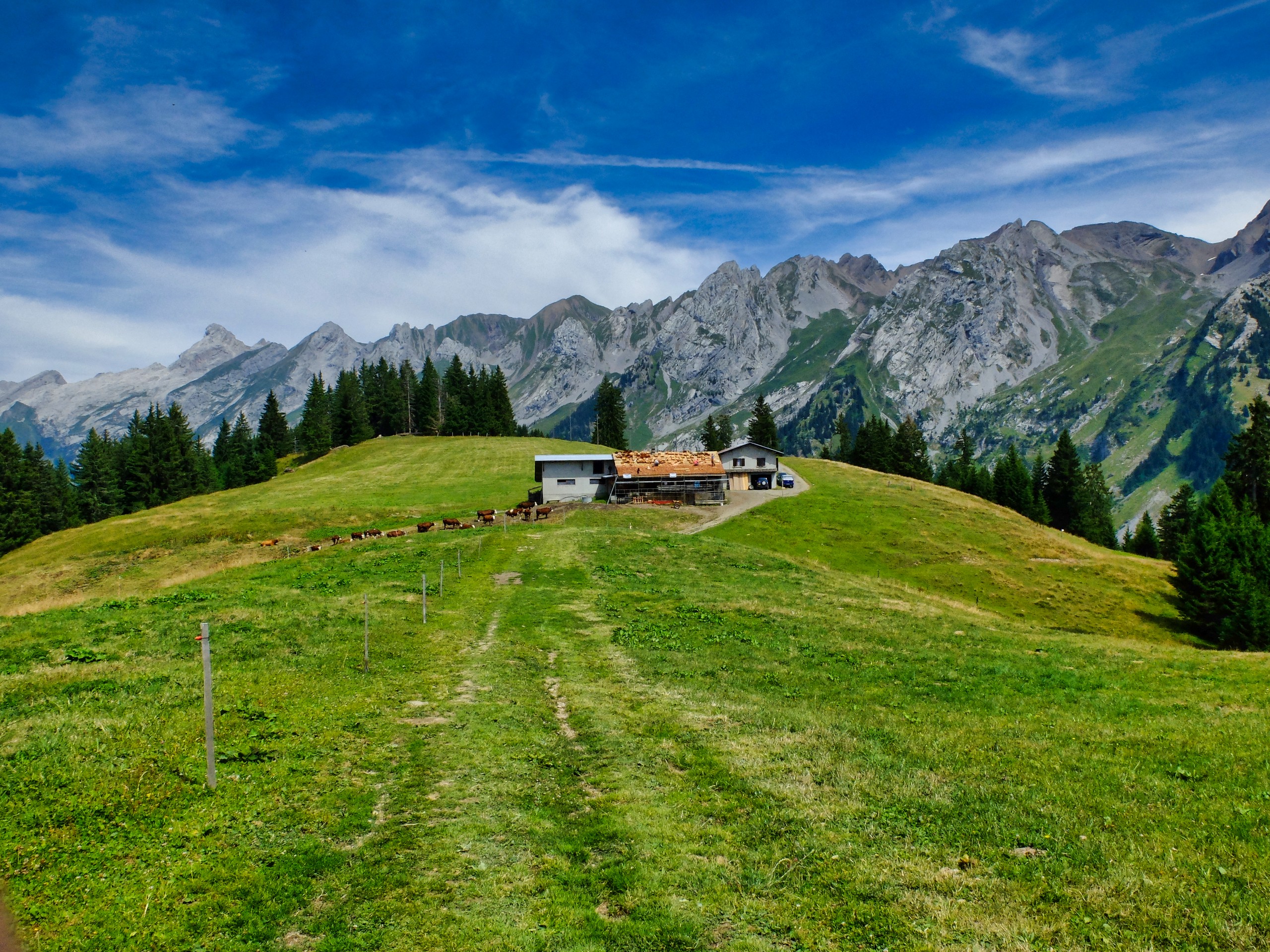 D2 - Mountain farm in the Aravis Pasture 3 - Alps © Thomas Praire