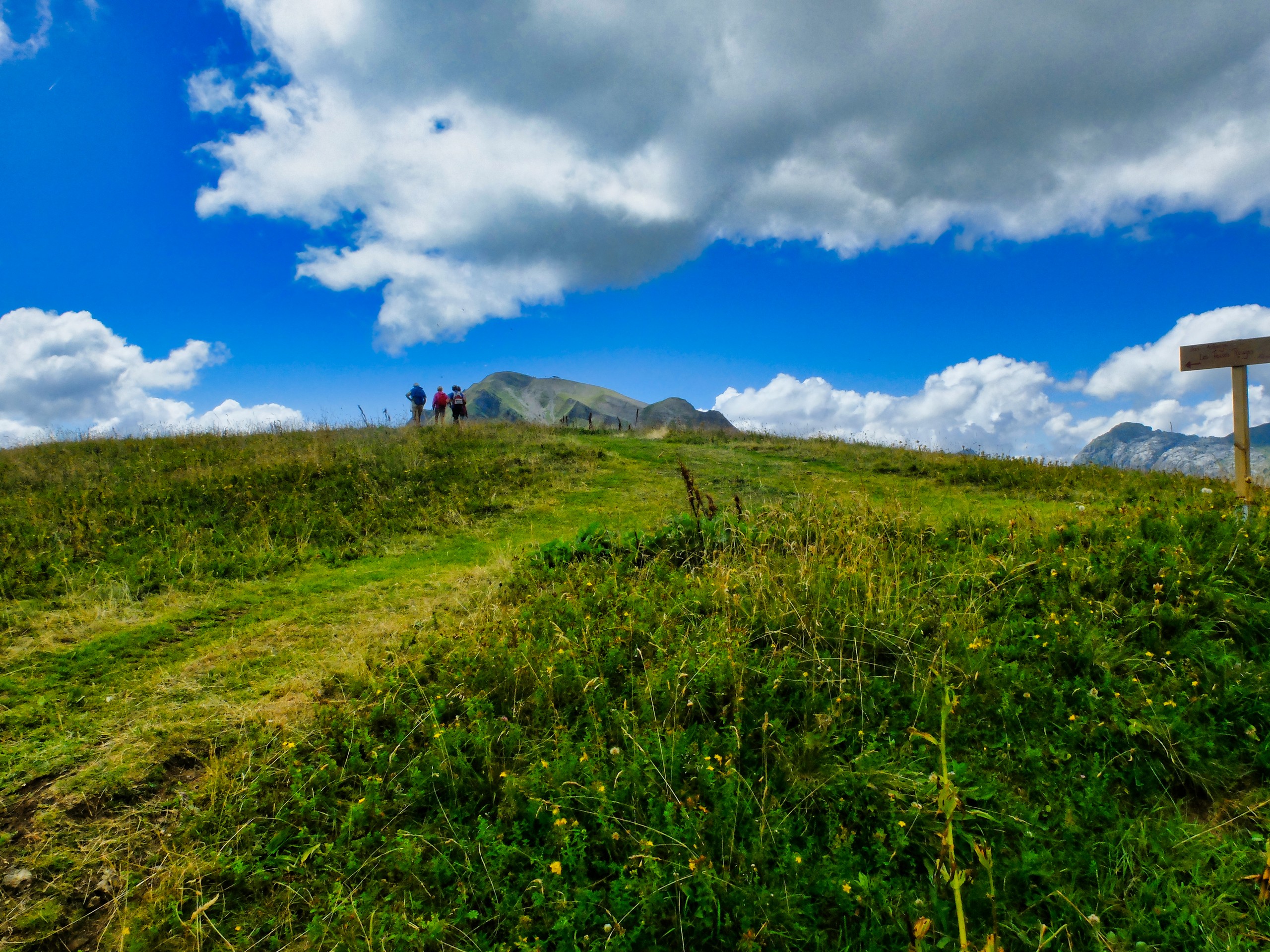 D3 - Hikers in Chinallon's Pasture - Aravis - Alpes © Thomas Praire