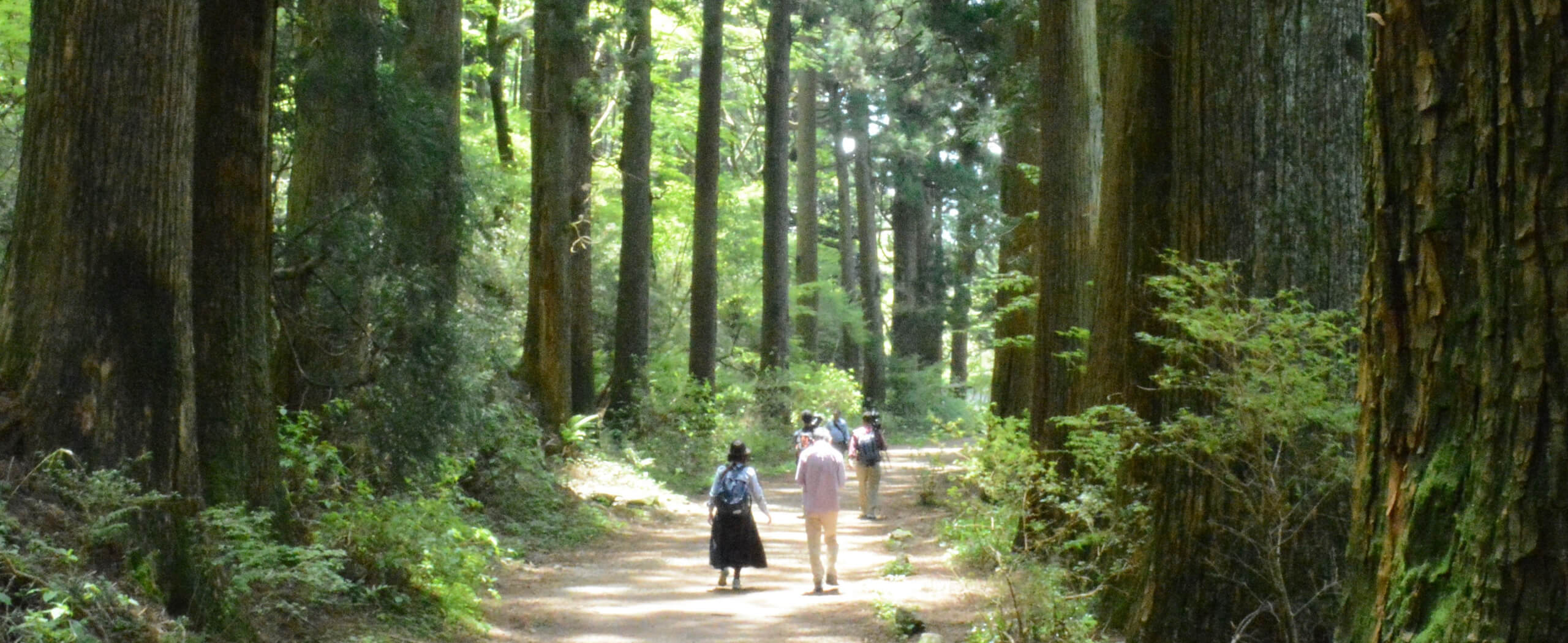 Atami and Hakone Hiking and Culture Tour