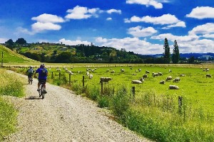 Great Taste Trail Cycling Tour