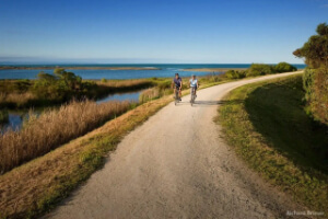 Hawke’s Bay Biking and Wine Tour