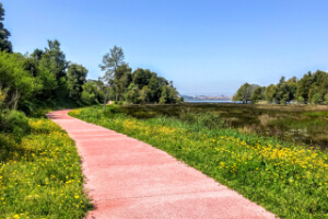 Portuguese Camino Plus Walk Tour