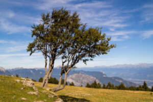 Tour of the Vercours Hiking Tour © Jean-Louis Billault