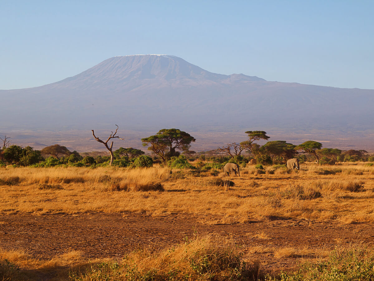 7-Day Mount Kilimanjaro on Lemosho Route-2
