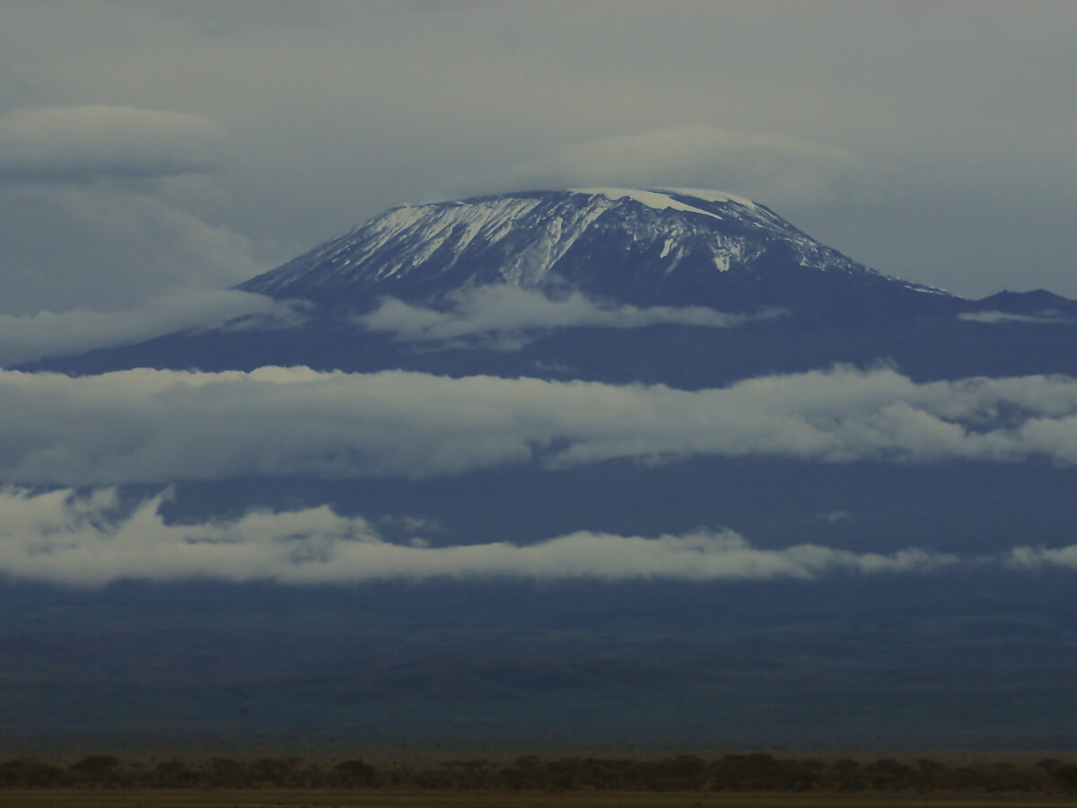 7-Day Mount Kilimanjaro on Lemosho Route-4