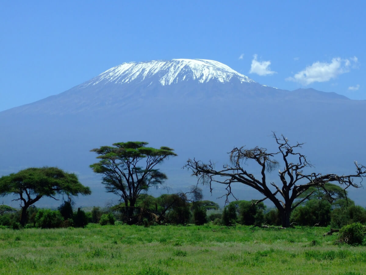 7-Day Mount Kilimanjaro on Rongai Route