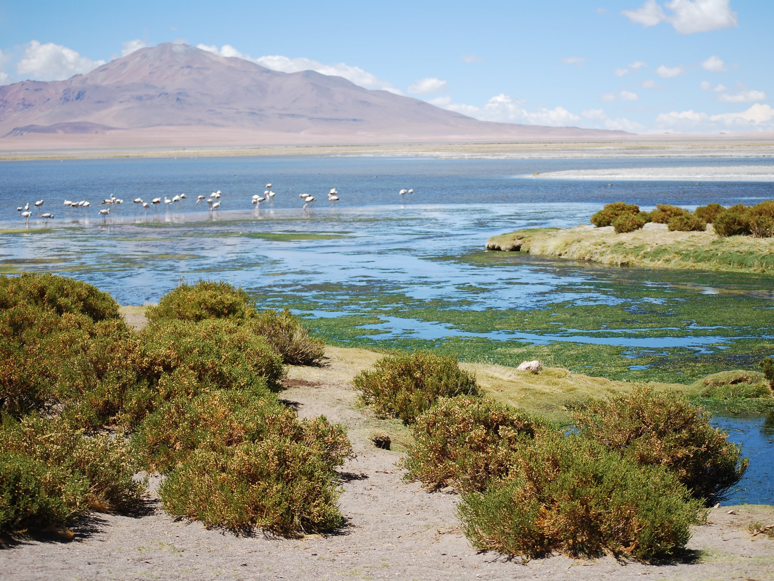 8-Day Atacama Desert Self-Drive Tour-2