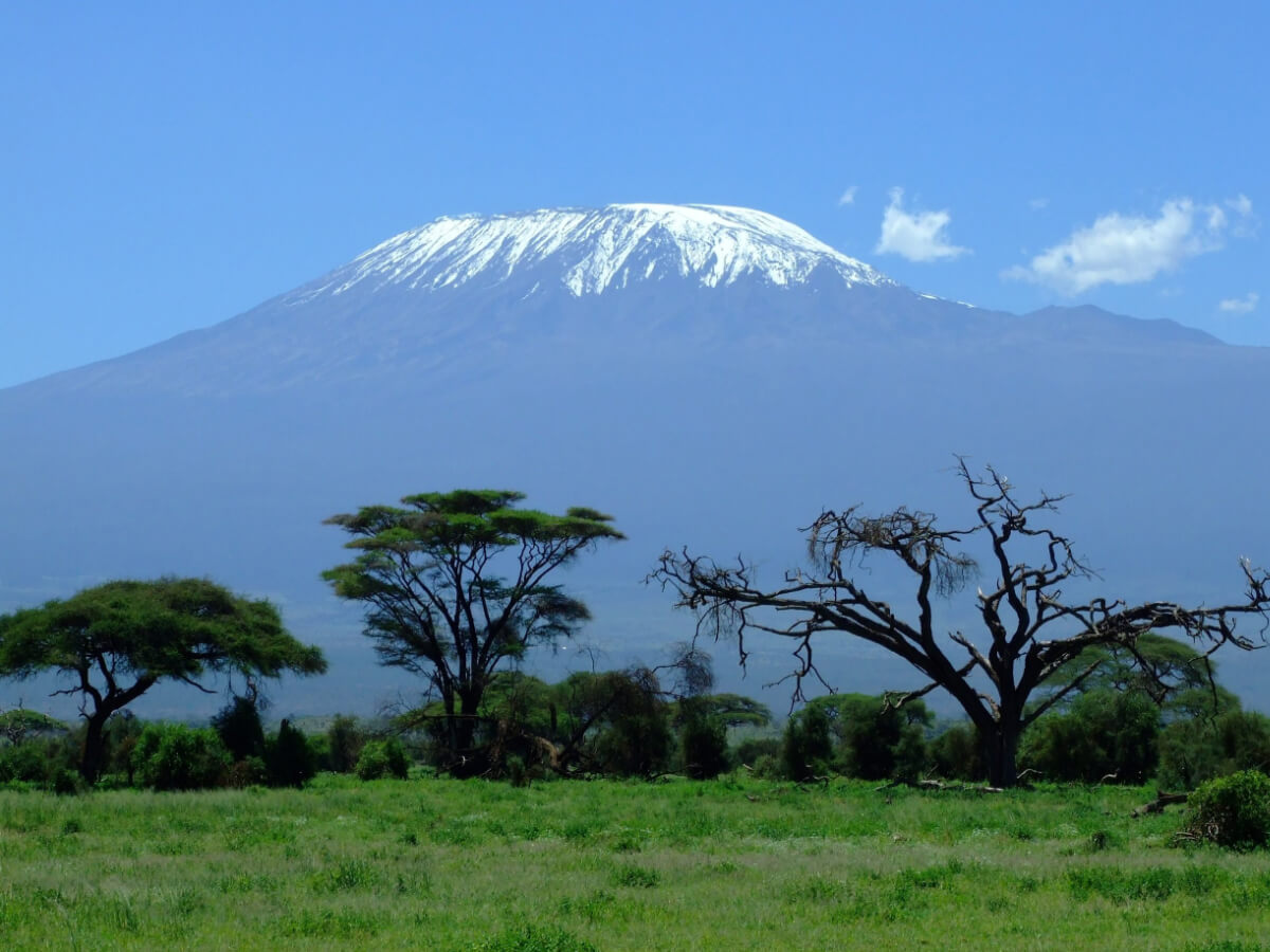 8-Day Mount Kilimanjaro on Lemosho Route-0