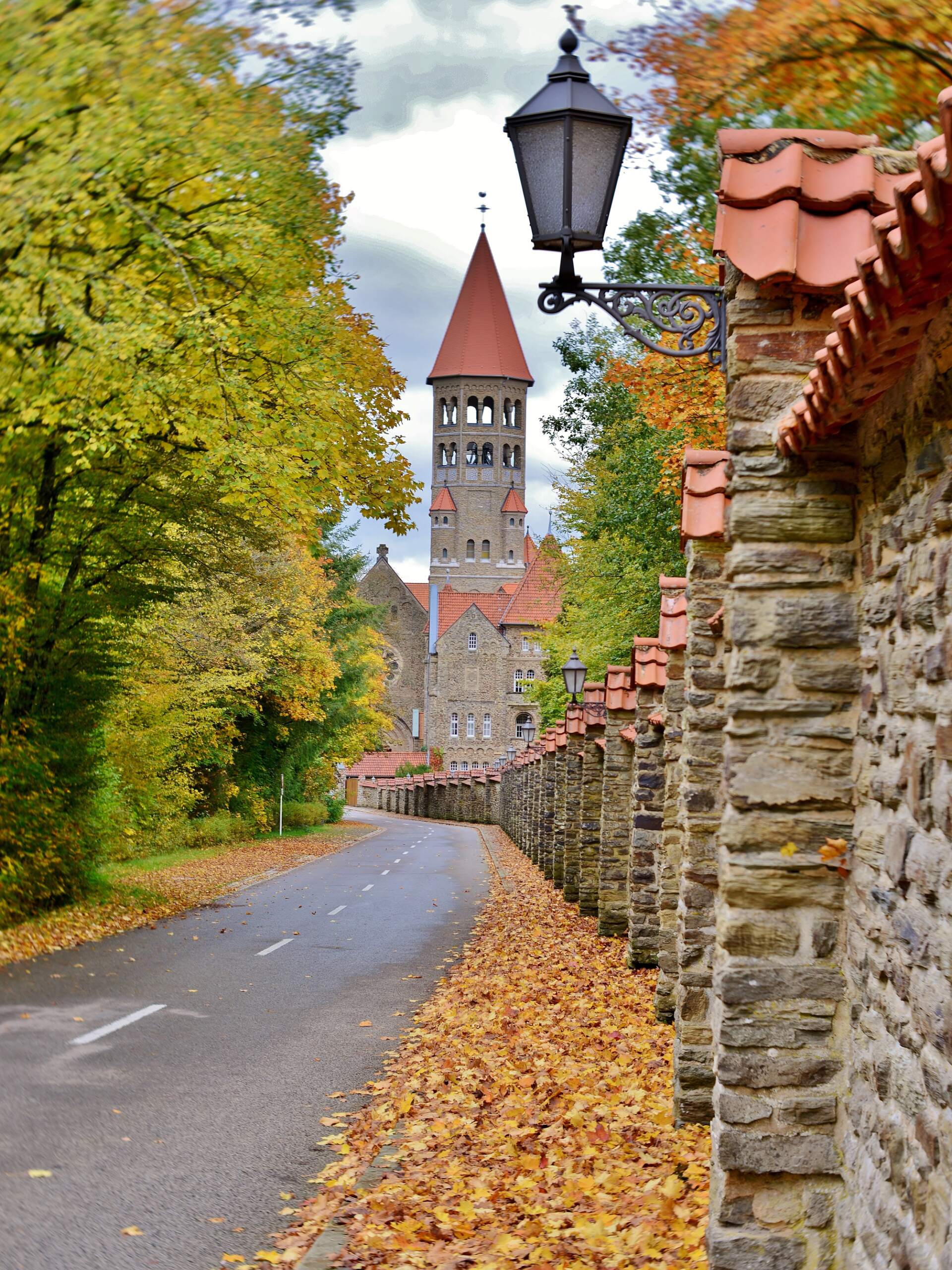 8-Day Vennbahn Rail Trail Cycling Tour-1