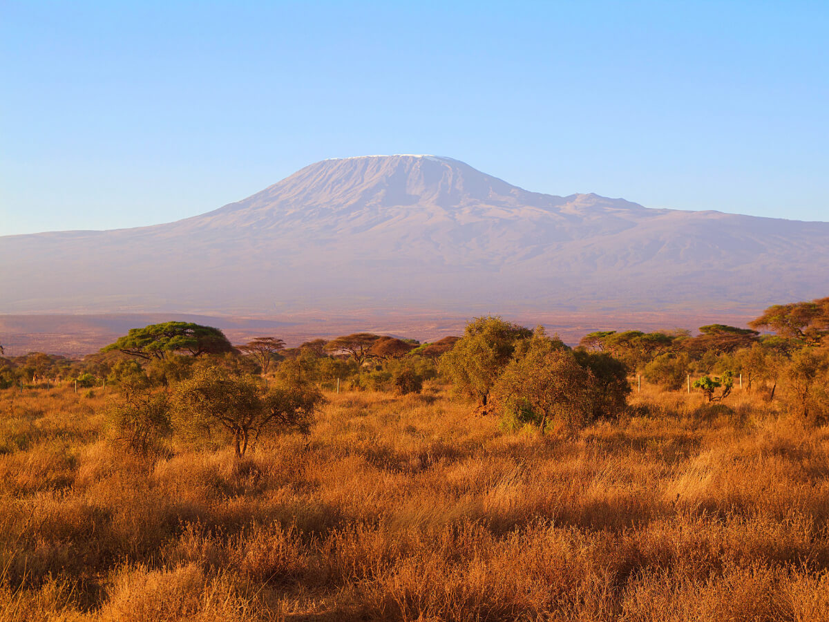 9-Day Mount Kilimanjaro Northern Circuit Route