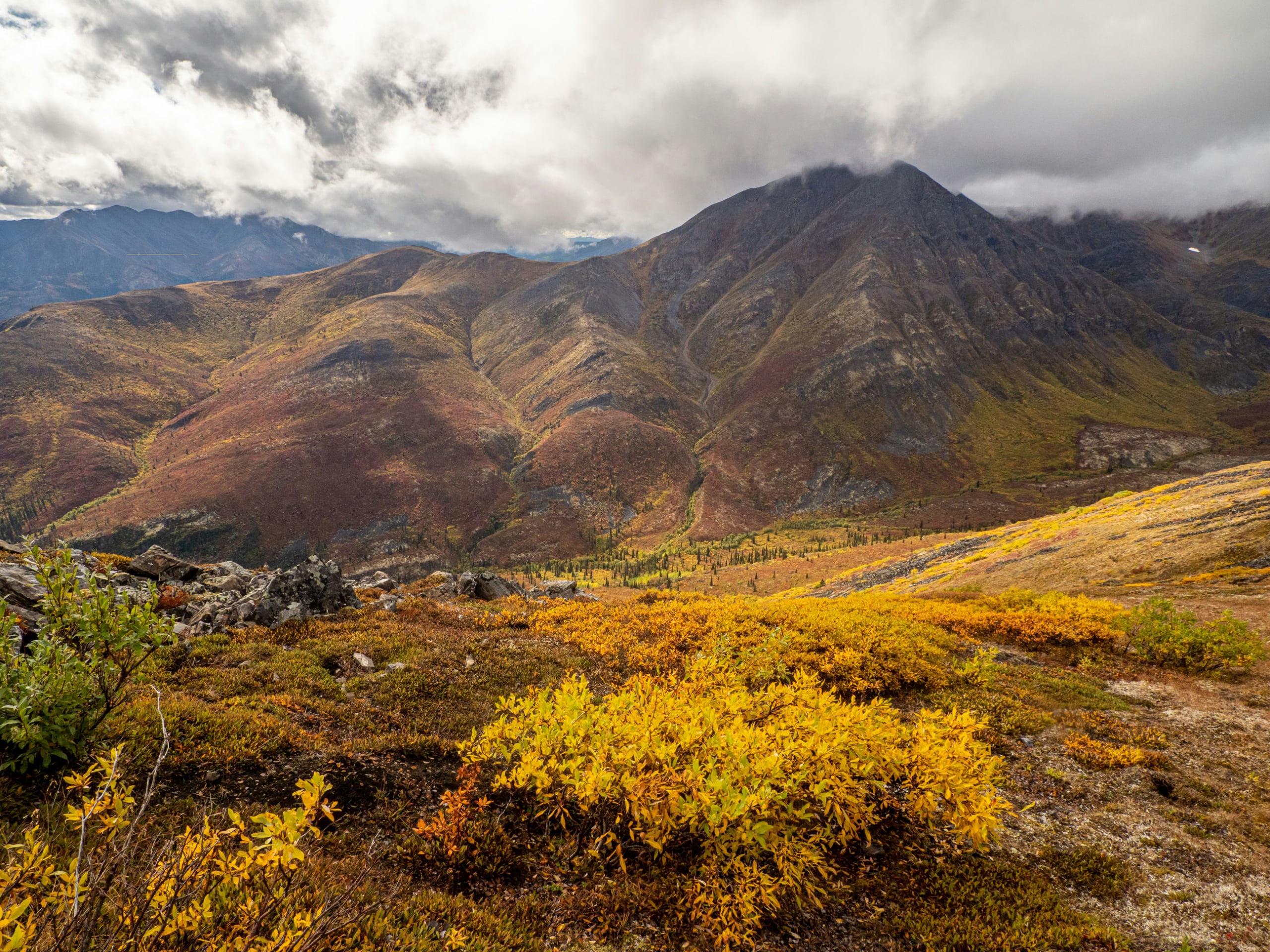 Arctic Ocean and Dempster Highway Road Trip-0