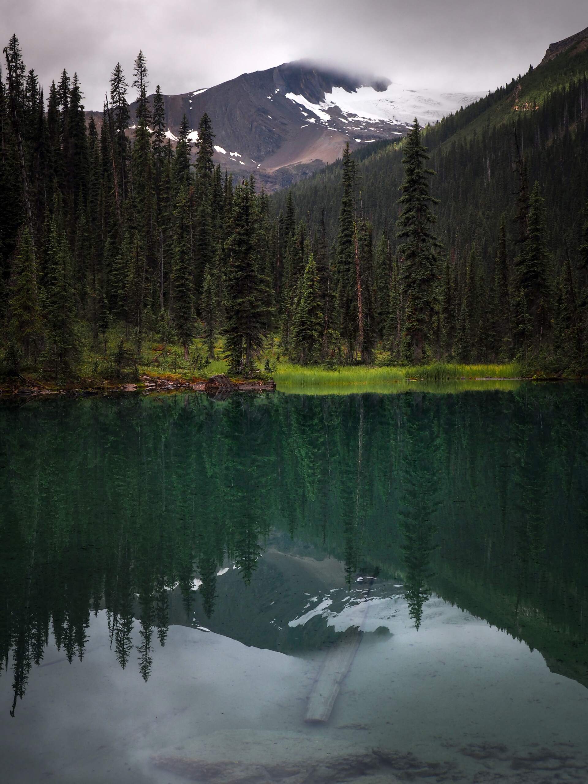 Backpacking the Yoho Valley and Iceline Trail-1