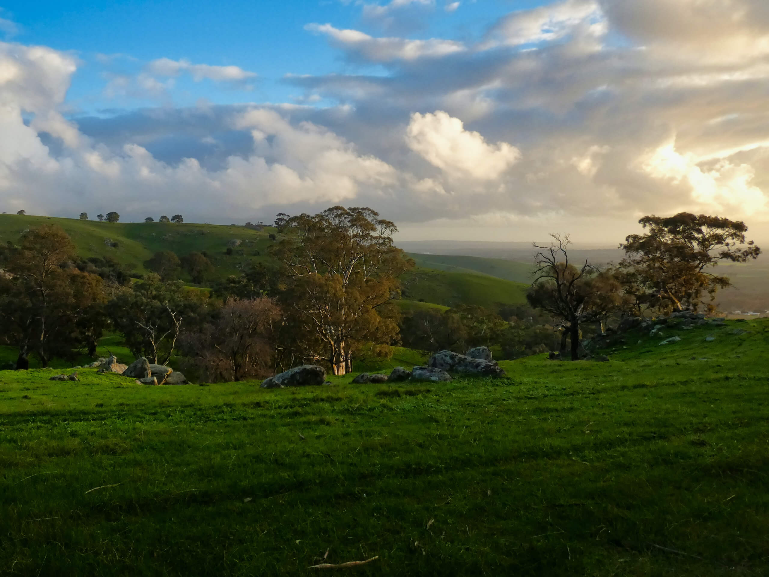 Barossa and Clare Valley Cycling Tour