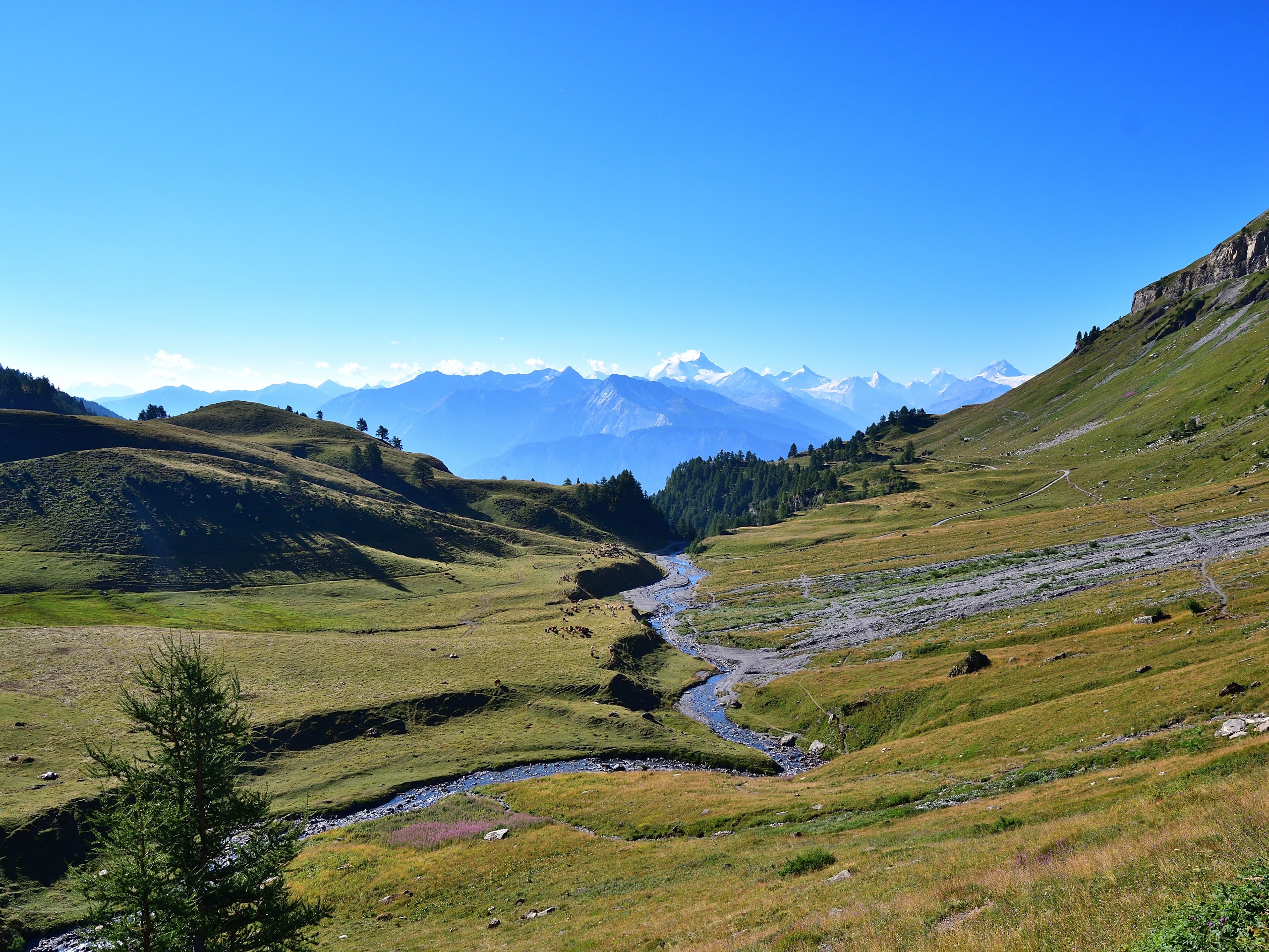 Chamonix to Zermatt Trekking Tour Stage 2-2
