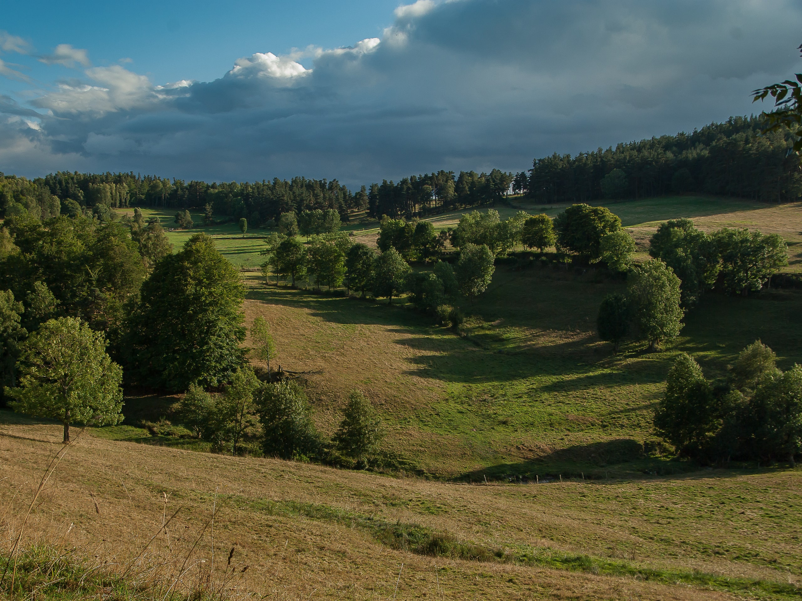 Cycle the Full Le Puy Camino-1