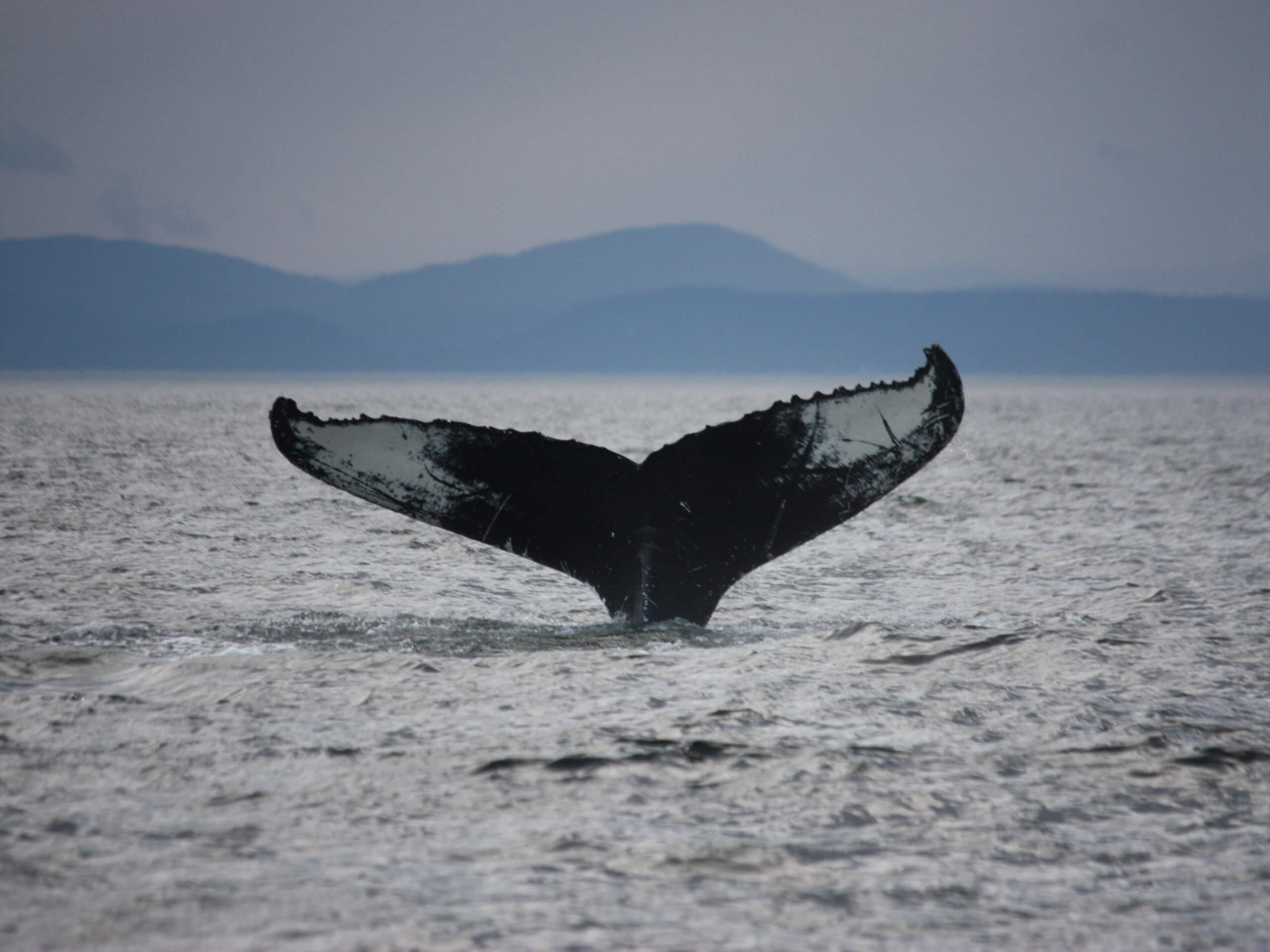 Discover Gaspésie and the St. Lawrence Self-Drive Tour-0