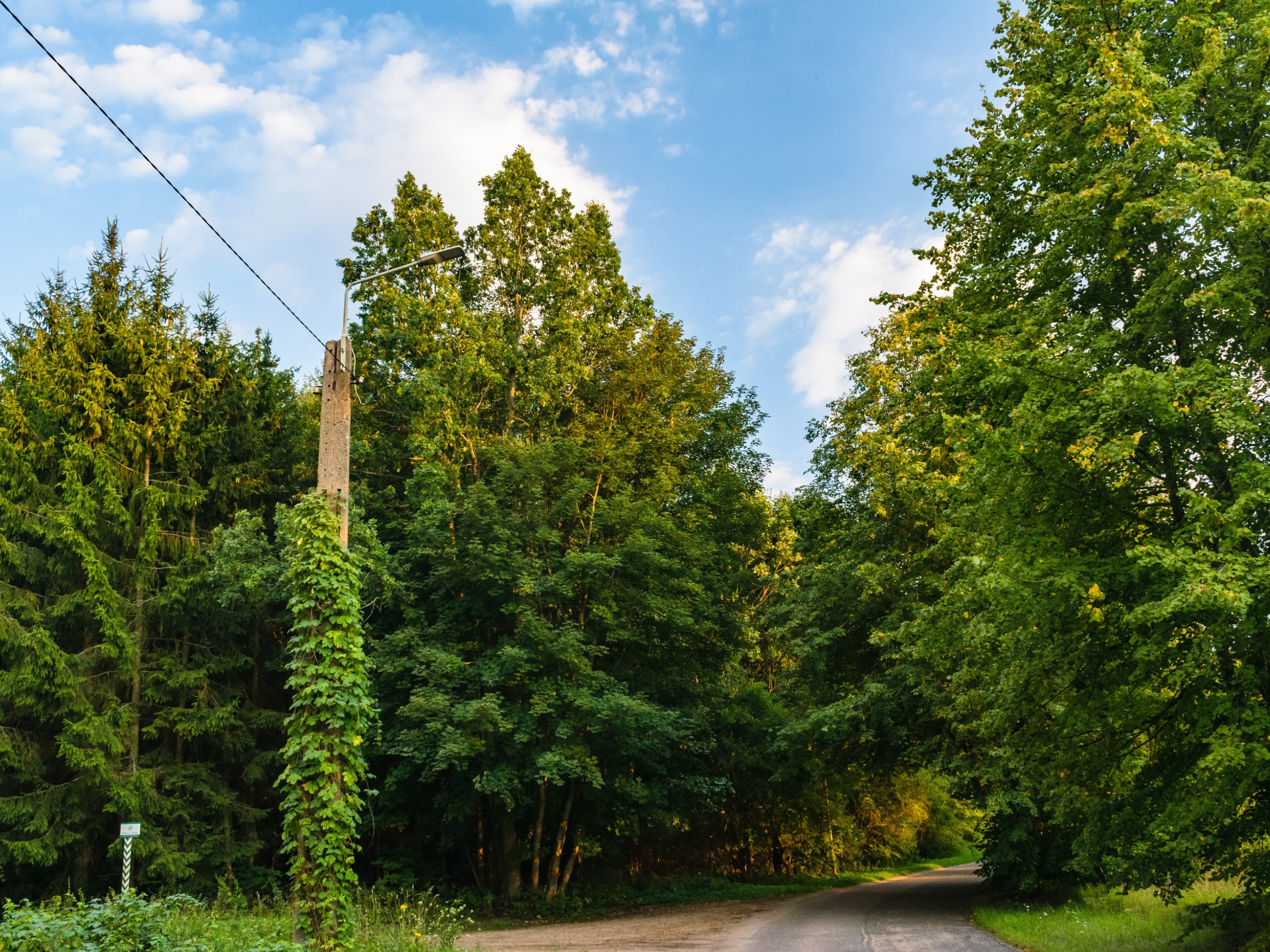 Eastern Poland Family-Friendly Bike Tour-0